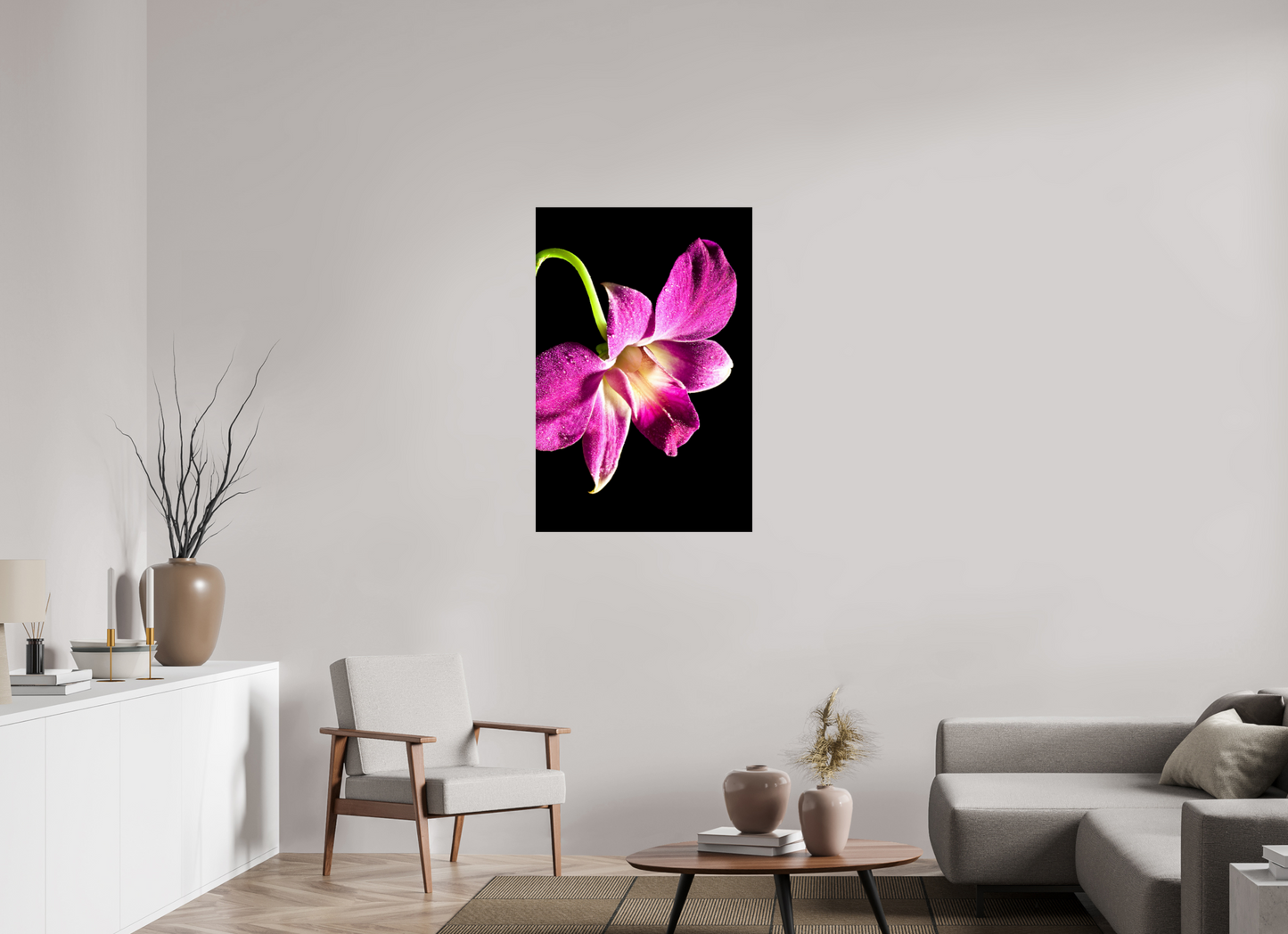 70 x 105 cm, Fine Art Print Baryta auf Alu-Dibond Phalaenopsis-2
