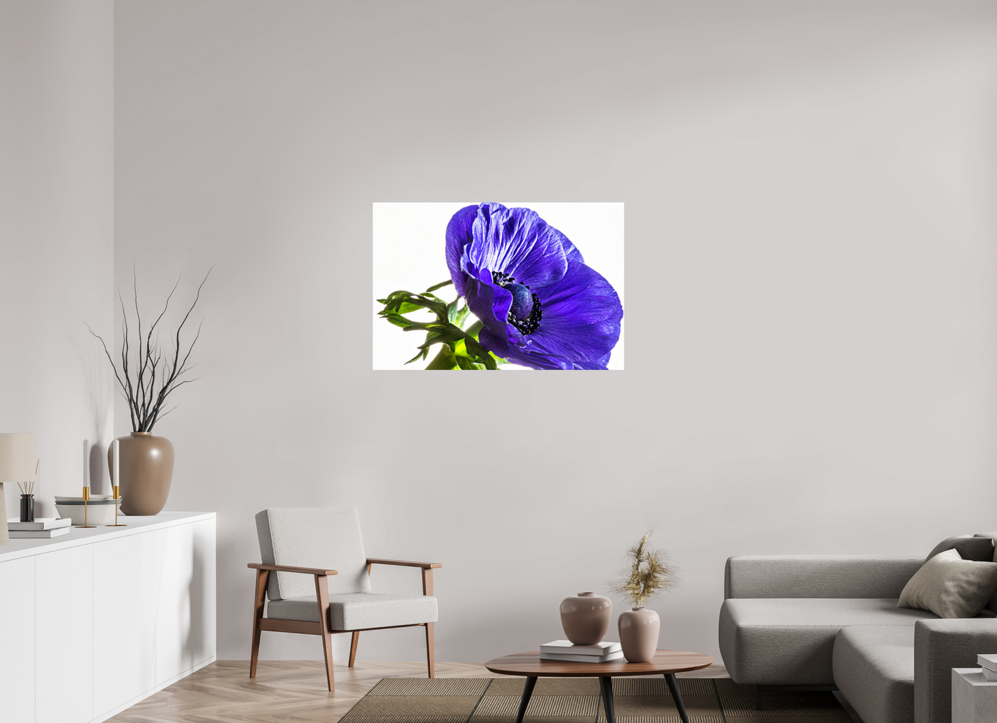 105 x 70 cm, ChromaLuxe HD Metal Print Kronenanemone_02