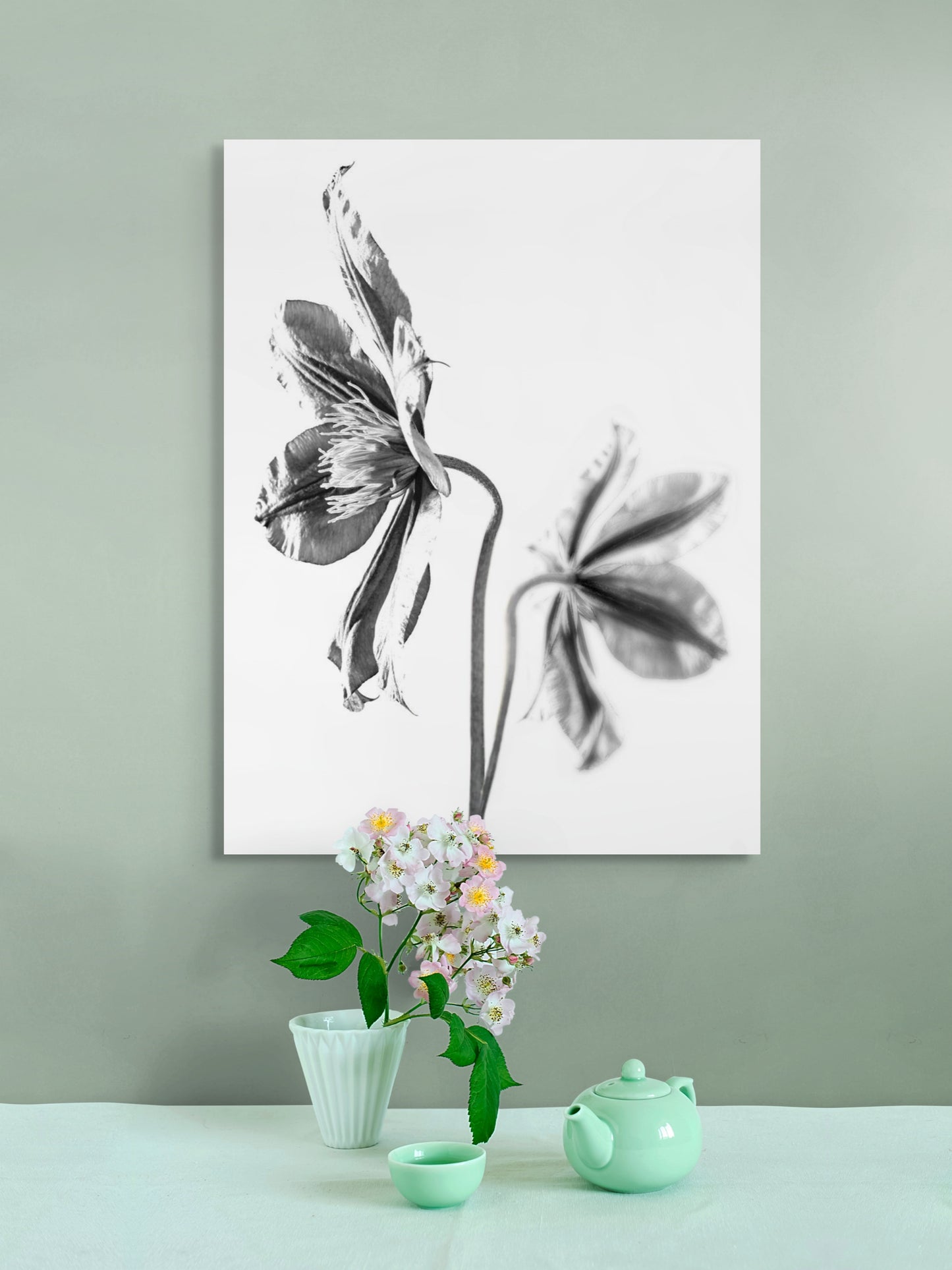 Clematis-02