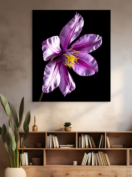 Clematis-05