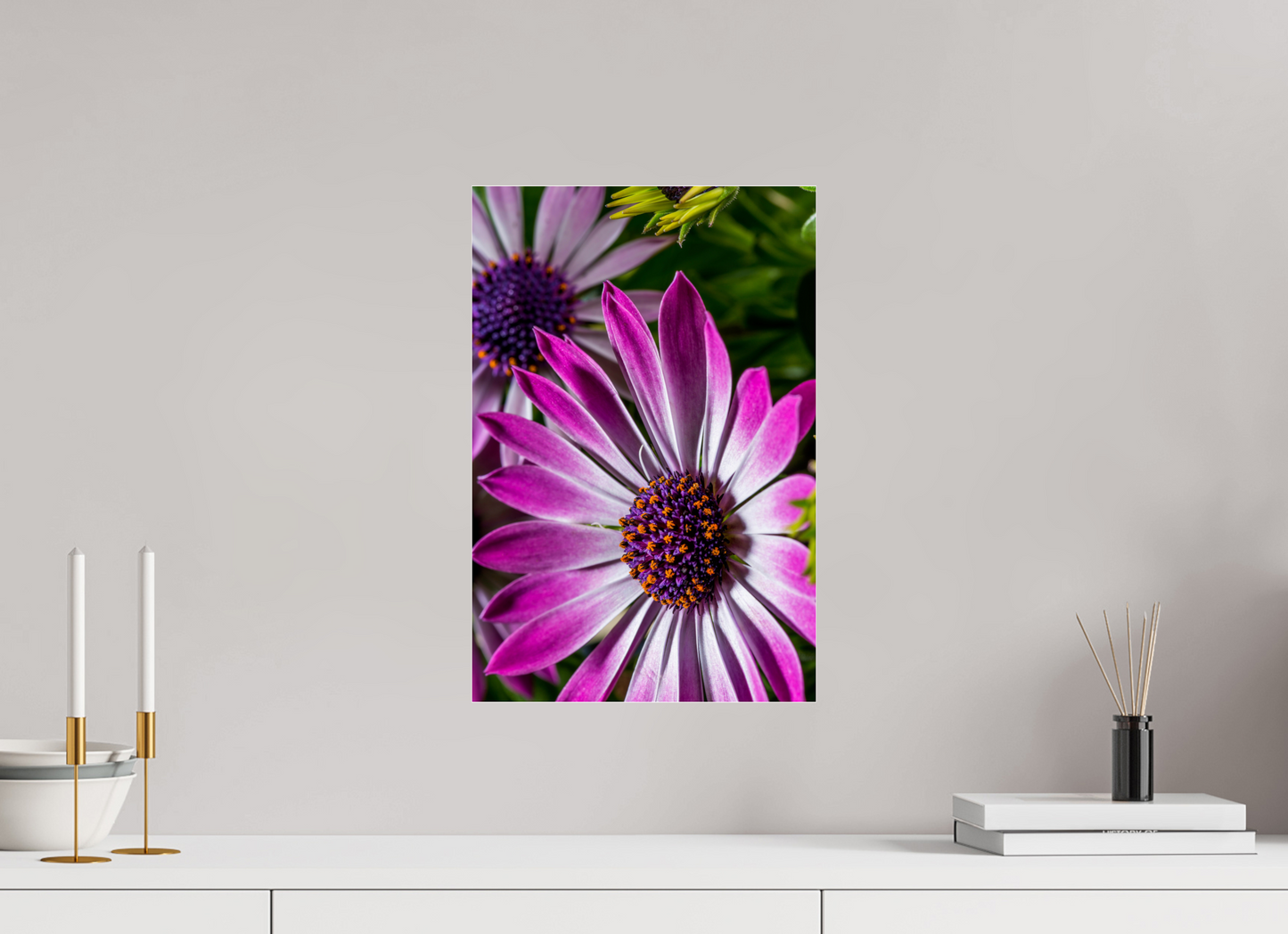 30 x 45 cm, Glänzender Foto-Abzug Acrylglas Kapmargerite_01
