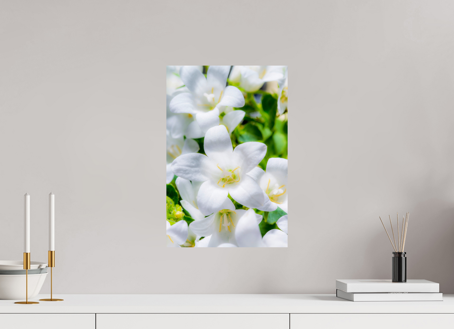 30 x 45 cm, Fine Art Print Baryta auf Alu-Dibond Glockenblume_03