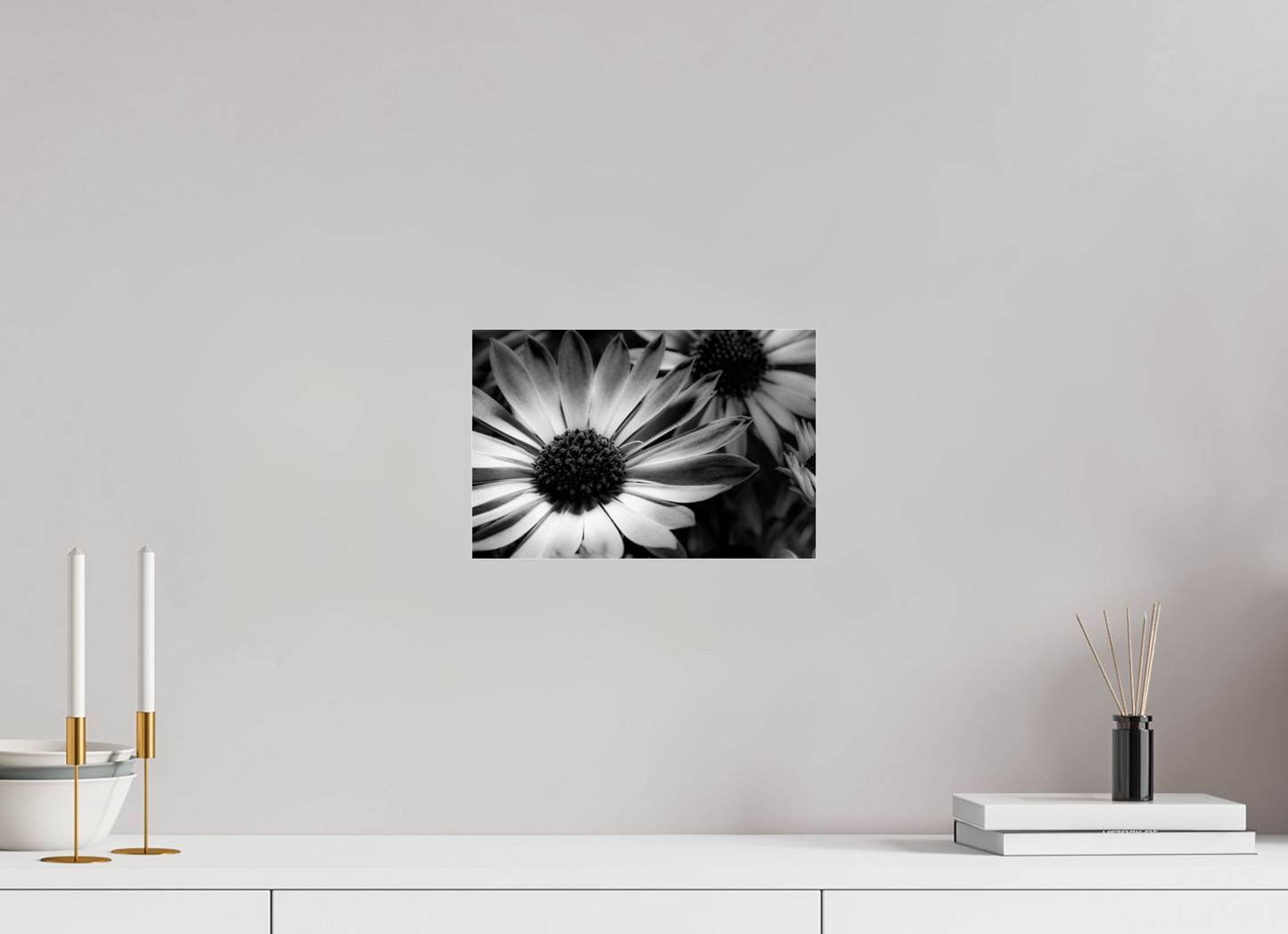30 x 20 cm, Glänzender Foto-Abzug Acrylglas Kapmargerite_02