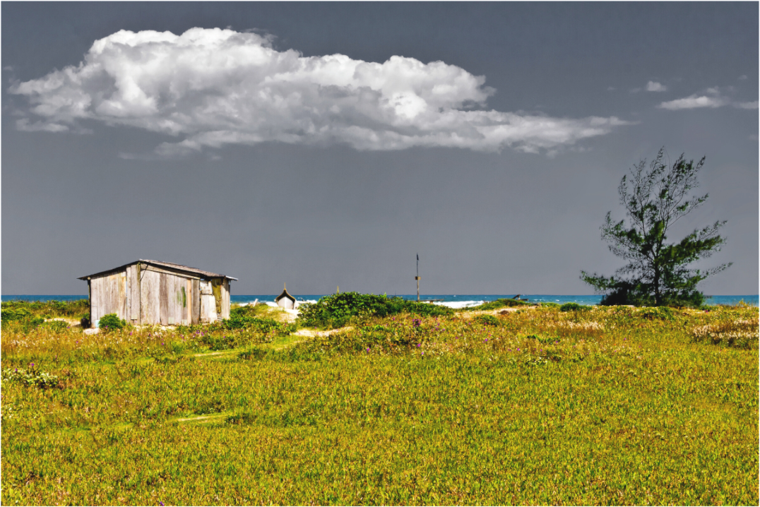 Main image Enseada Da Baleia - Ilha do Cardoso - SP