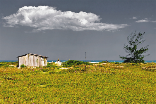 Main image Enseada Da Baleia - Ilha do Cardoso - SP