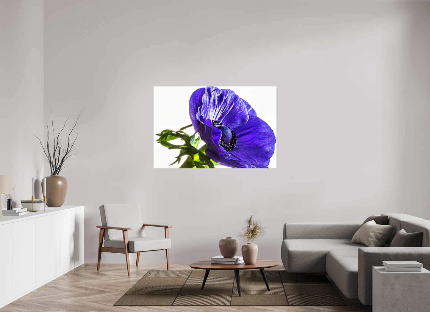 150 x 100 cm, Fine Art Print Baryta auf Alu-Dibond Kronenanemone_02