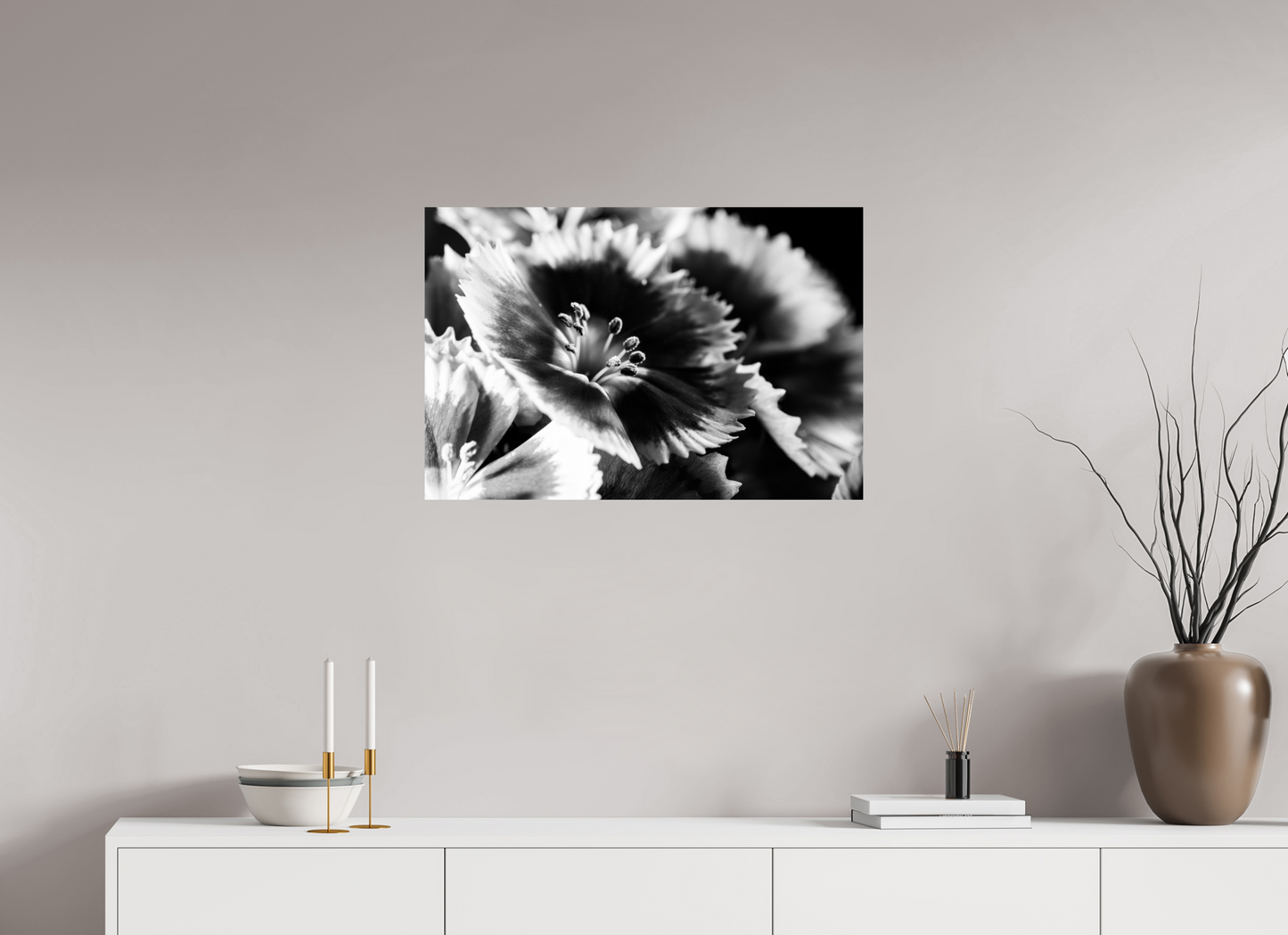 75 x 50 cm, Fine Art Print Baryta auf Alu-Dibond Bartnelke_03