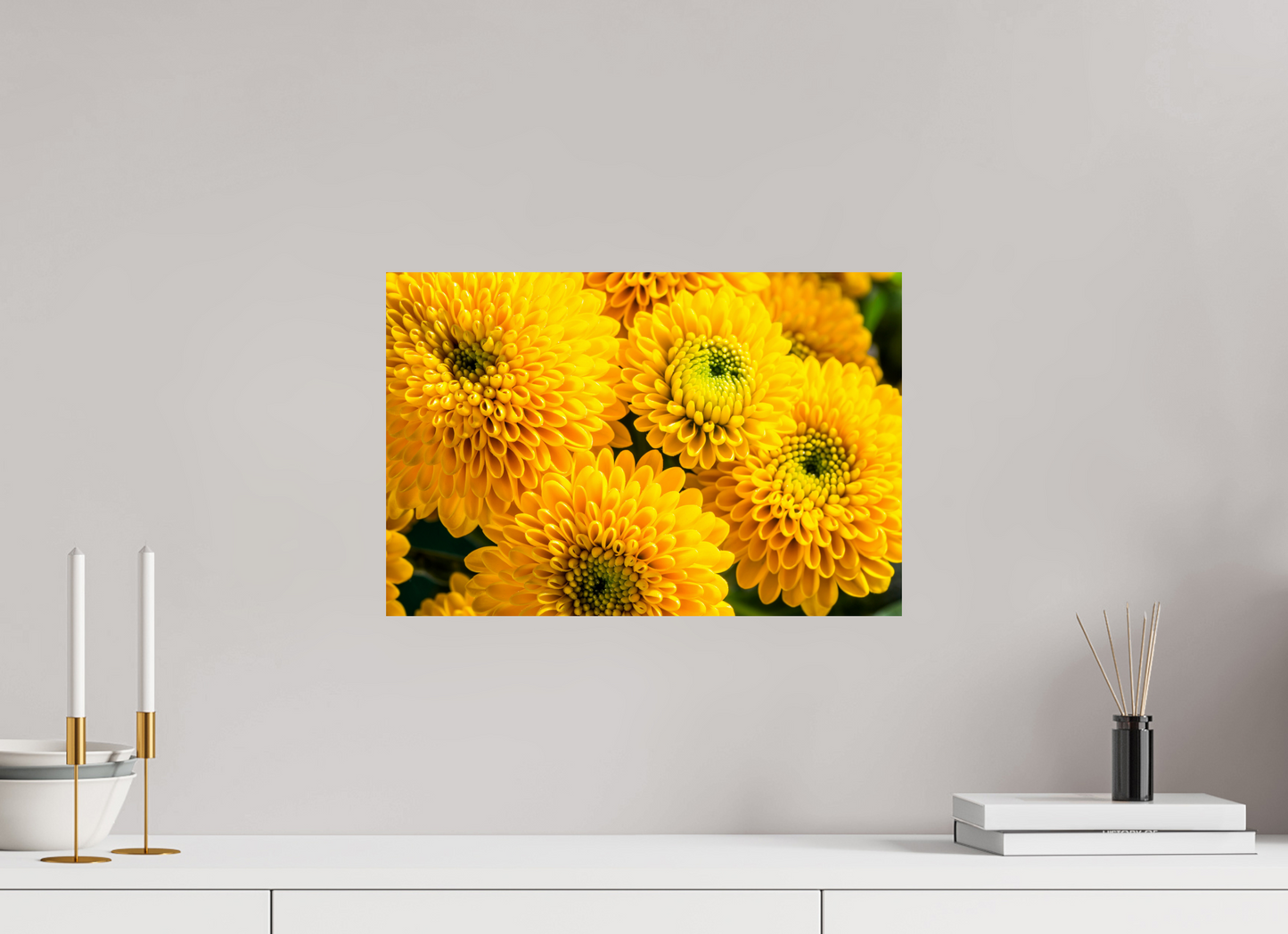 45 x 30 cm, Fine Art Print Baryta auf Alu-Dibond Chrysanthemen-06