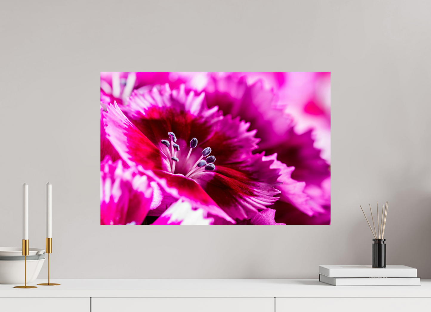60 x 40 cm, Fine Art Print Baryta auf Alu-Dibond Bartnelke_04