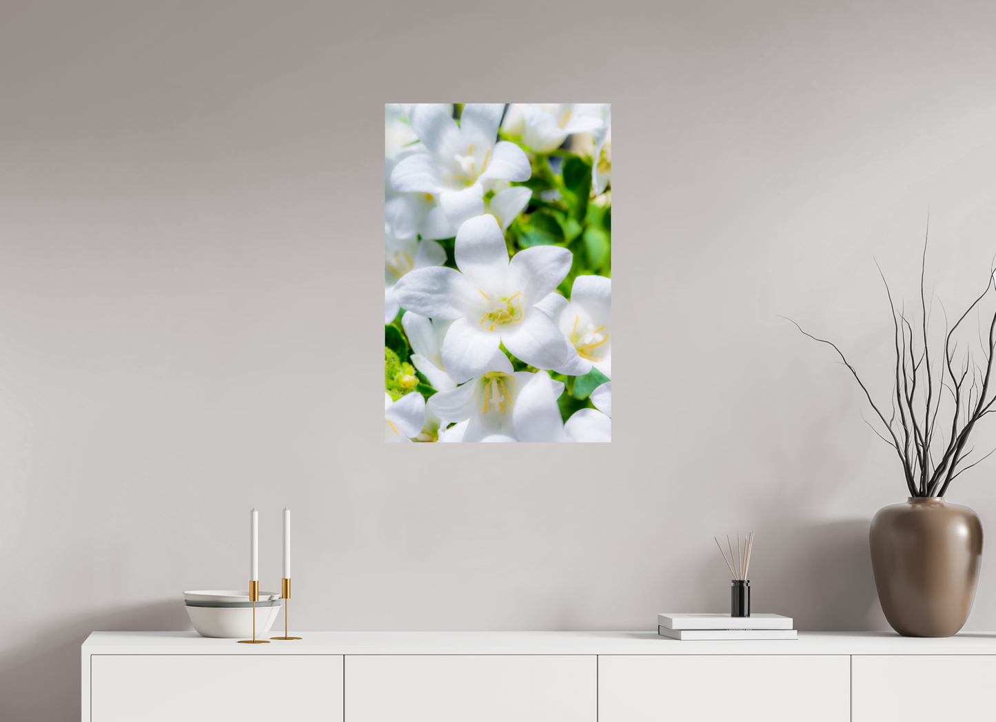 50 x 75 cm, Fine Art Print Baryta auf Alu-Dibond Glockenblume_03