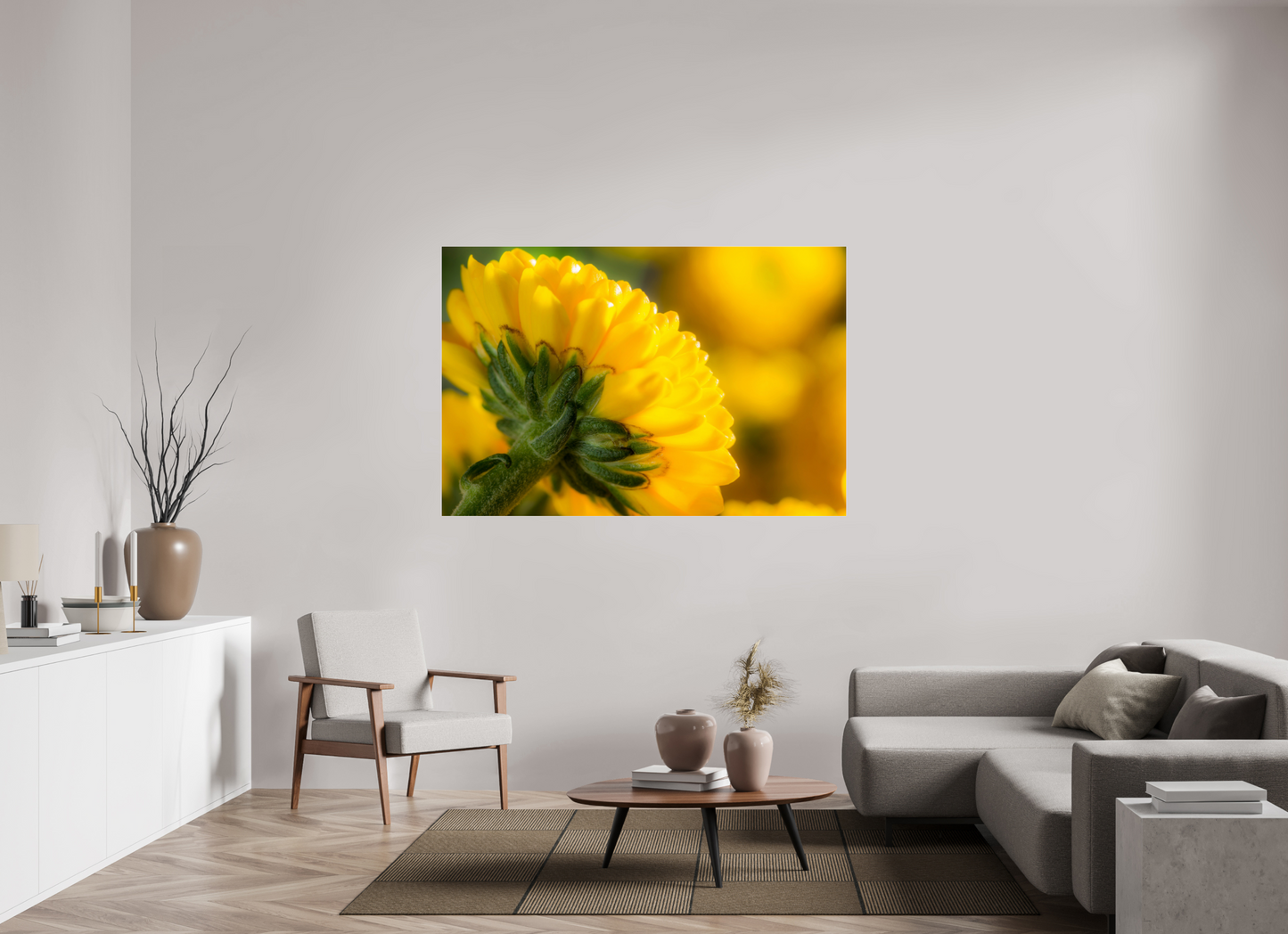 165 x 110 cm, Glänzender Foto-Abzug Acrylglas Chrysanthemen-05