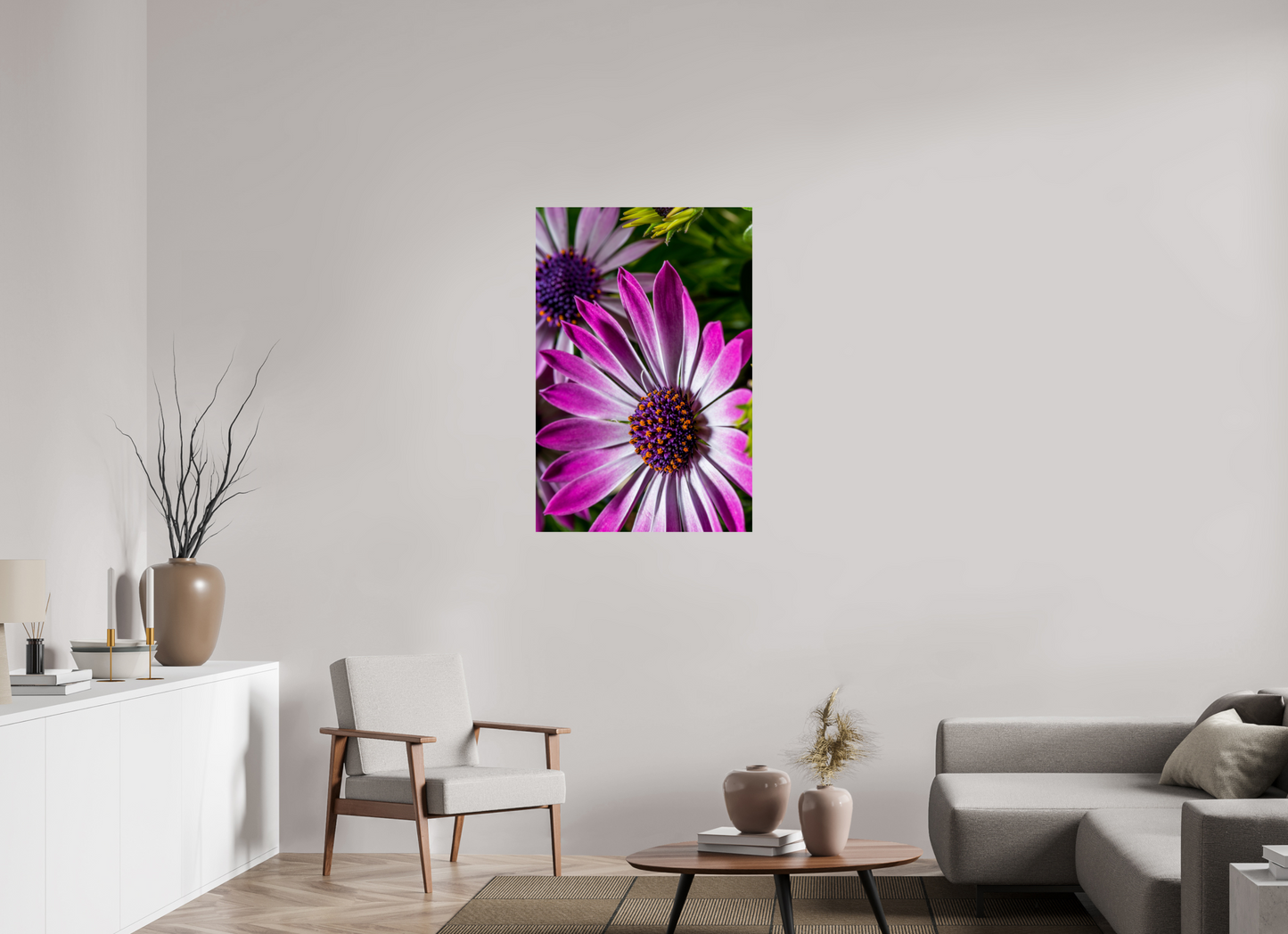 70 x 105 cm, Fine Art Print Baryta auf Alu-Dibond Kapmargerite_01