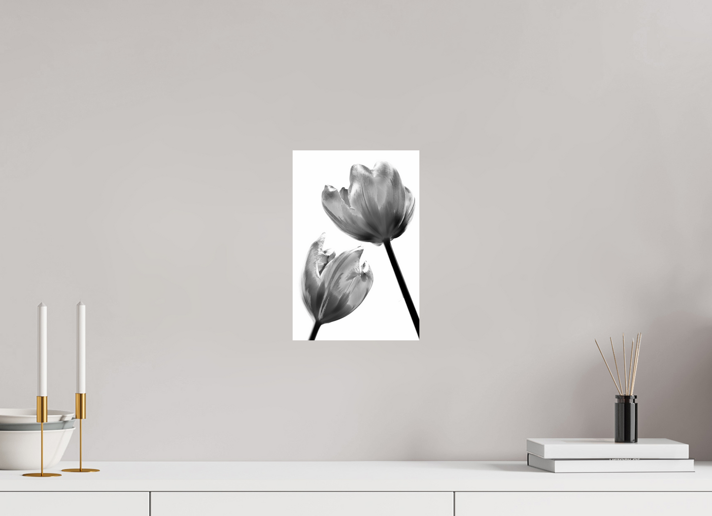20 x 30 cm, Fine Art Print Baryta auf Alu-Dibond Tulpe-09