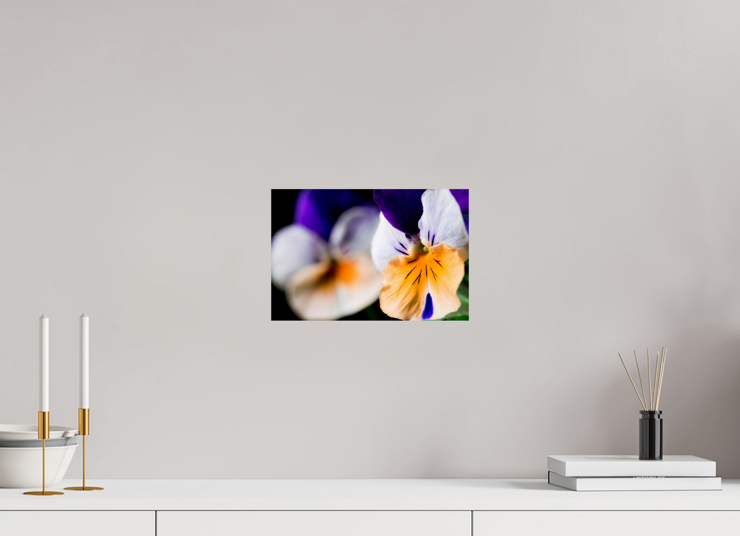 30 x 20 cm, Fine Art Print Baryta auf Alu-Dibond Hornveilchen_02