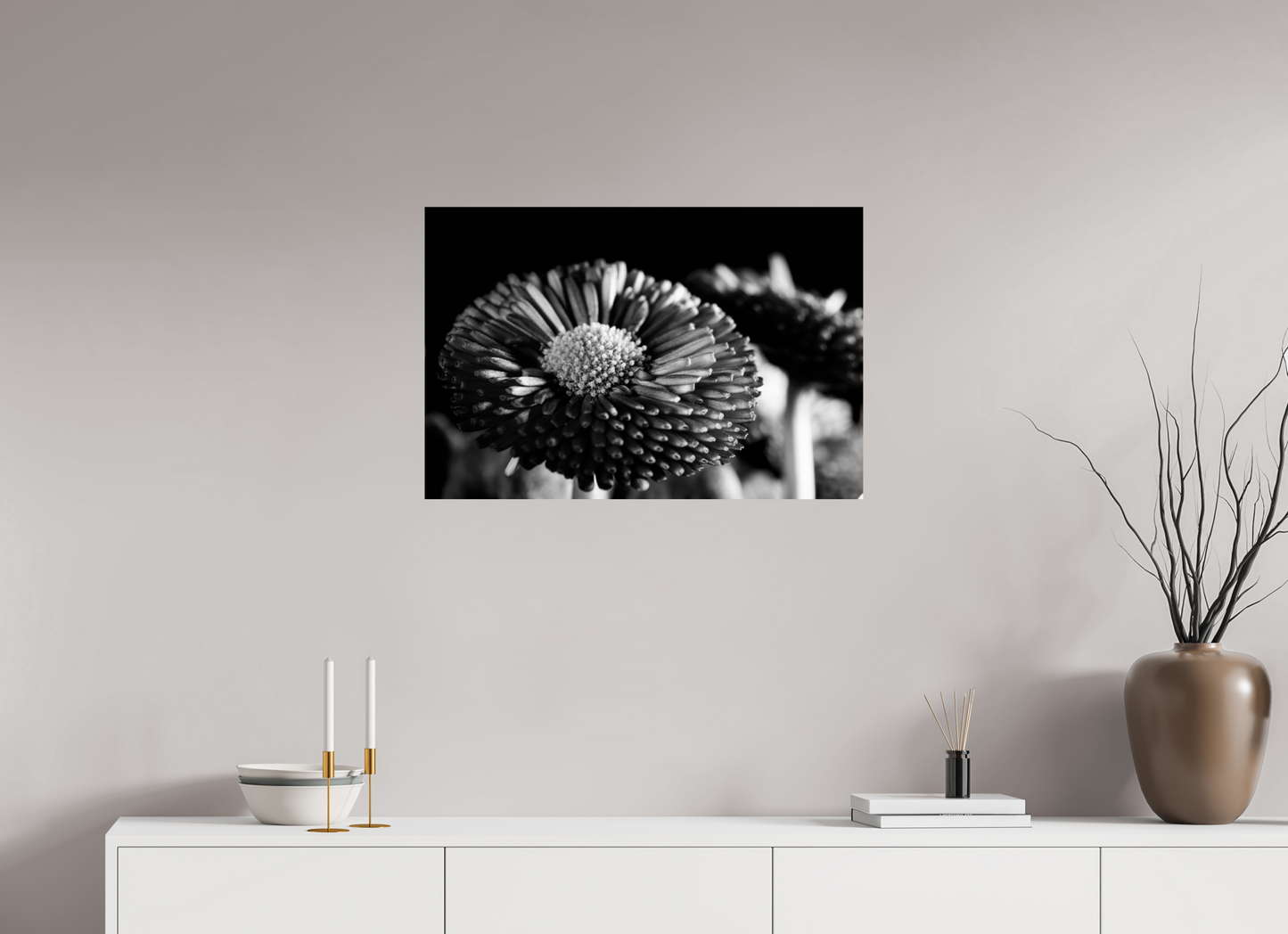 75 x 50 cm, Fine Art Print Baryta auf Alu-Dibond Aster-003