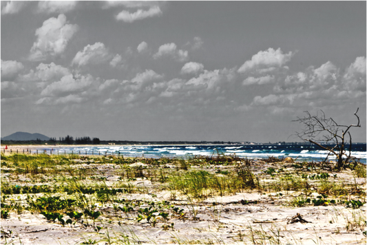 Main image Ponta Sul - Ilha Comprida - SP
