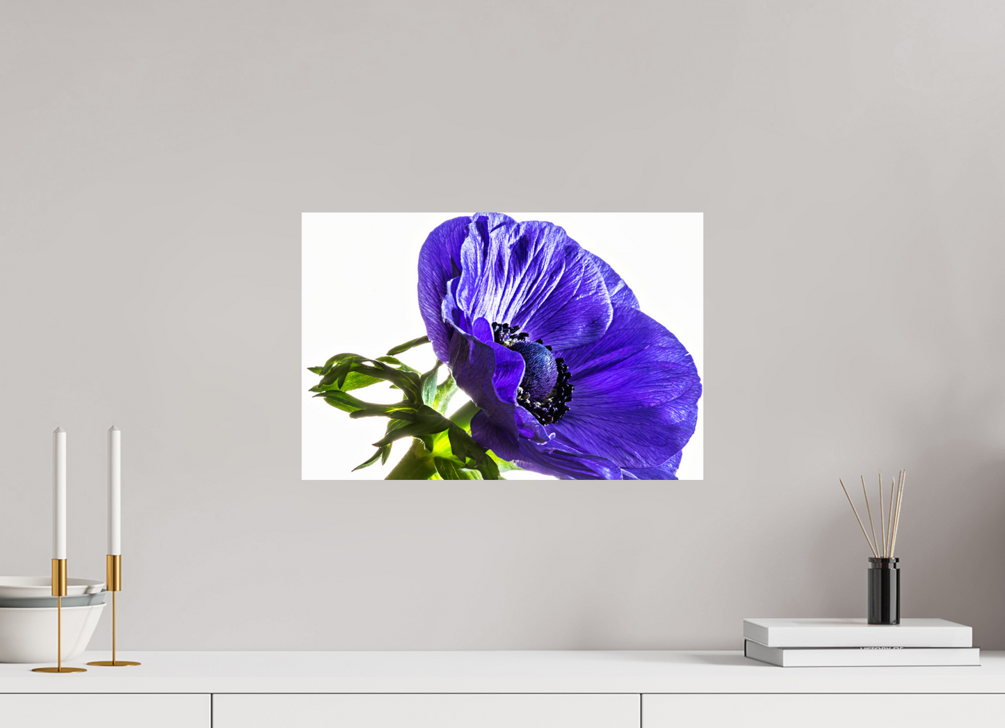 45 x 30 cm, ChromaLuxe HD Metal Print Kronenanemone_02