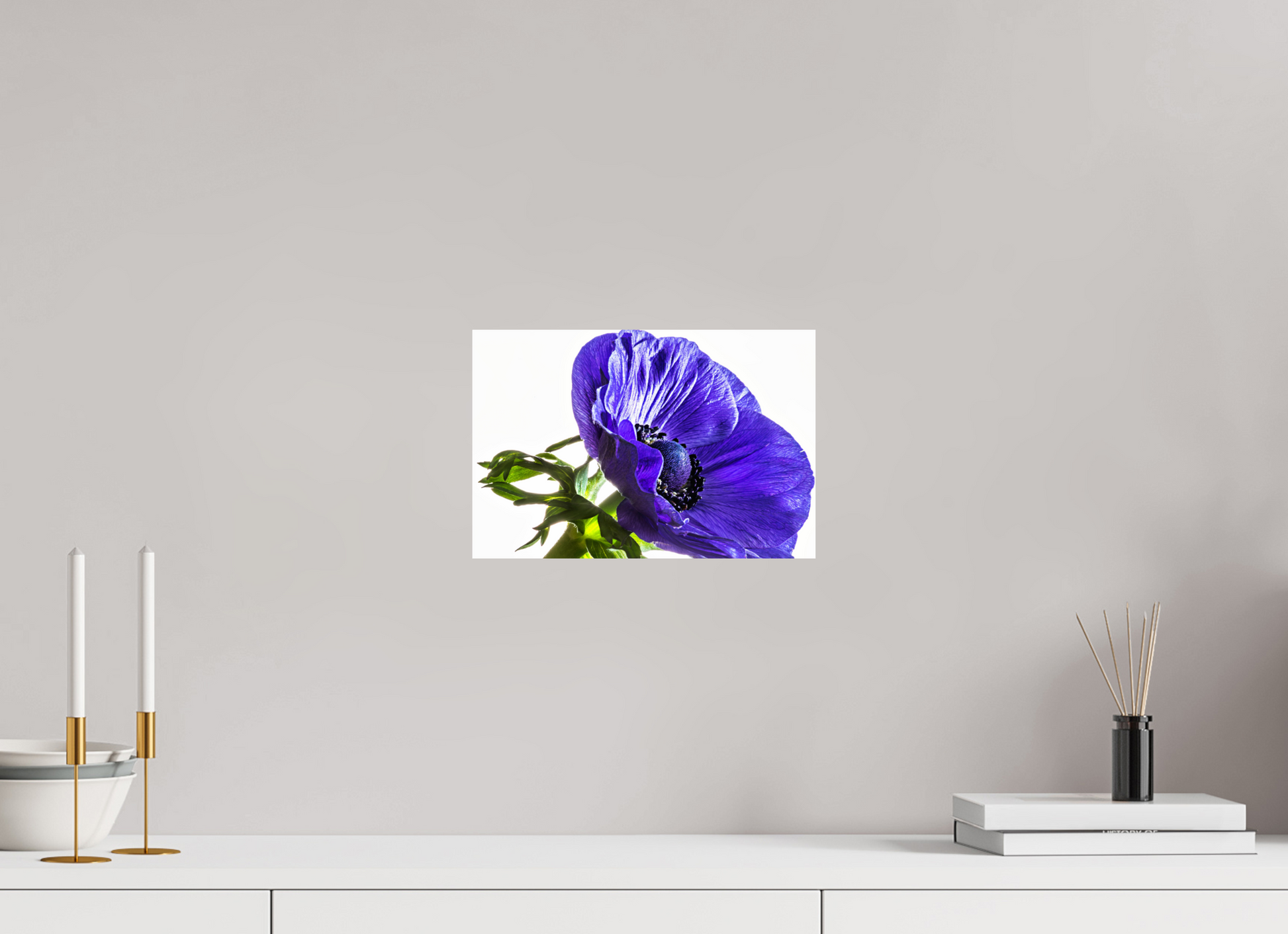 30 x 20 cm, ChromaLuxe HD Metal Print Kronenanemone_02