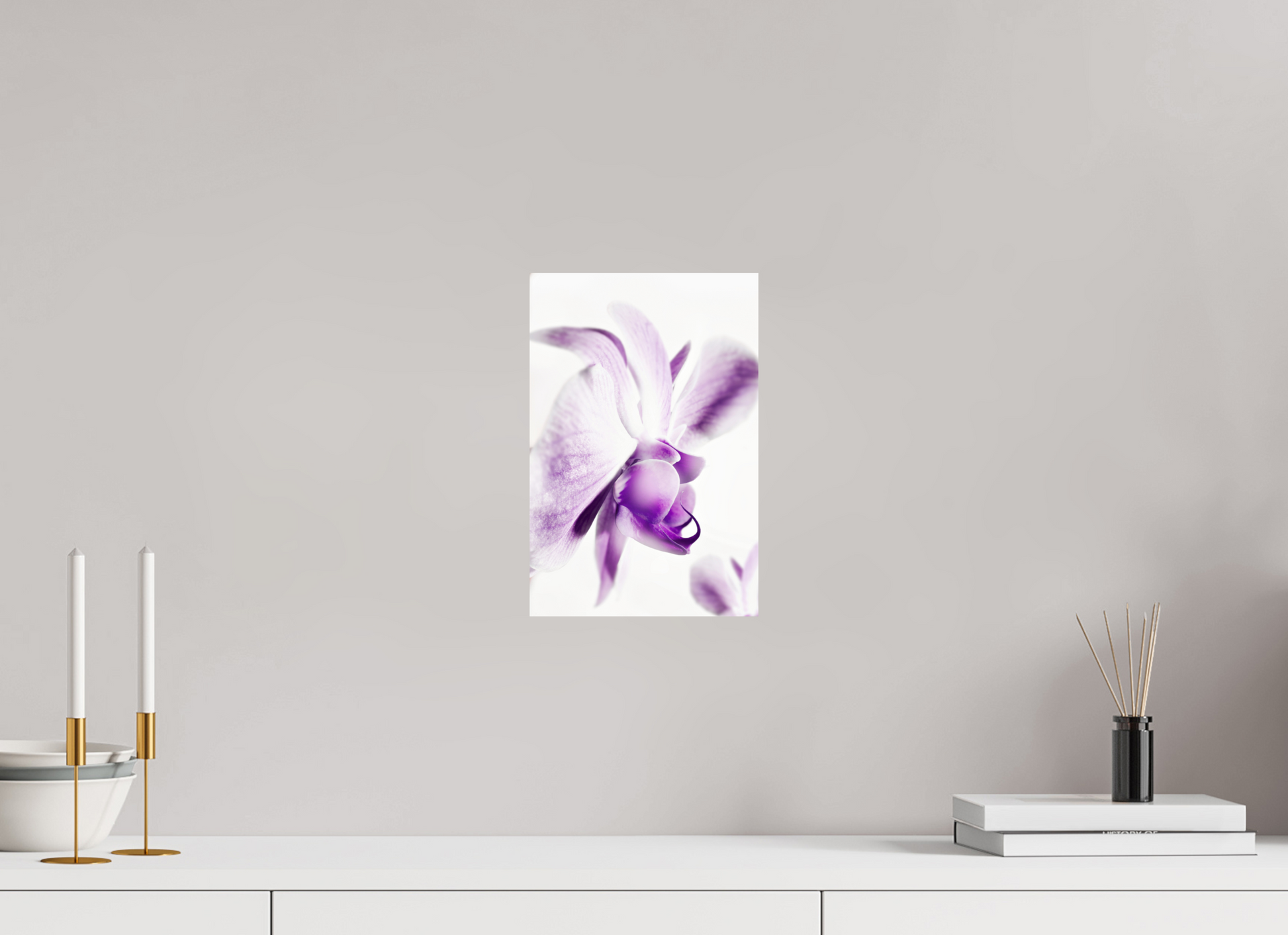 20 x 30 cm, ChromaLuxe HD Metal Print Phalaenopsis-03