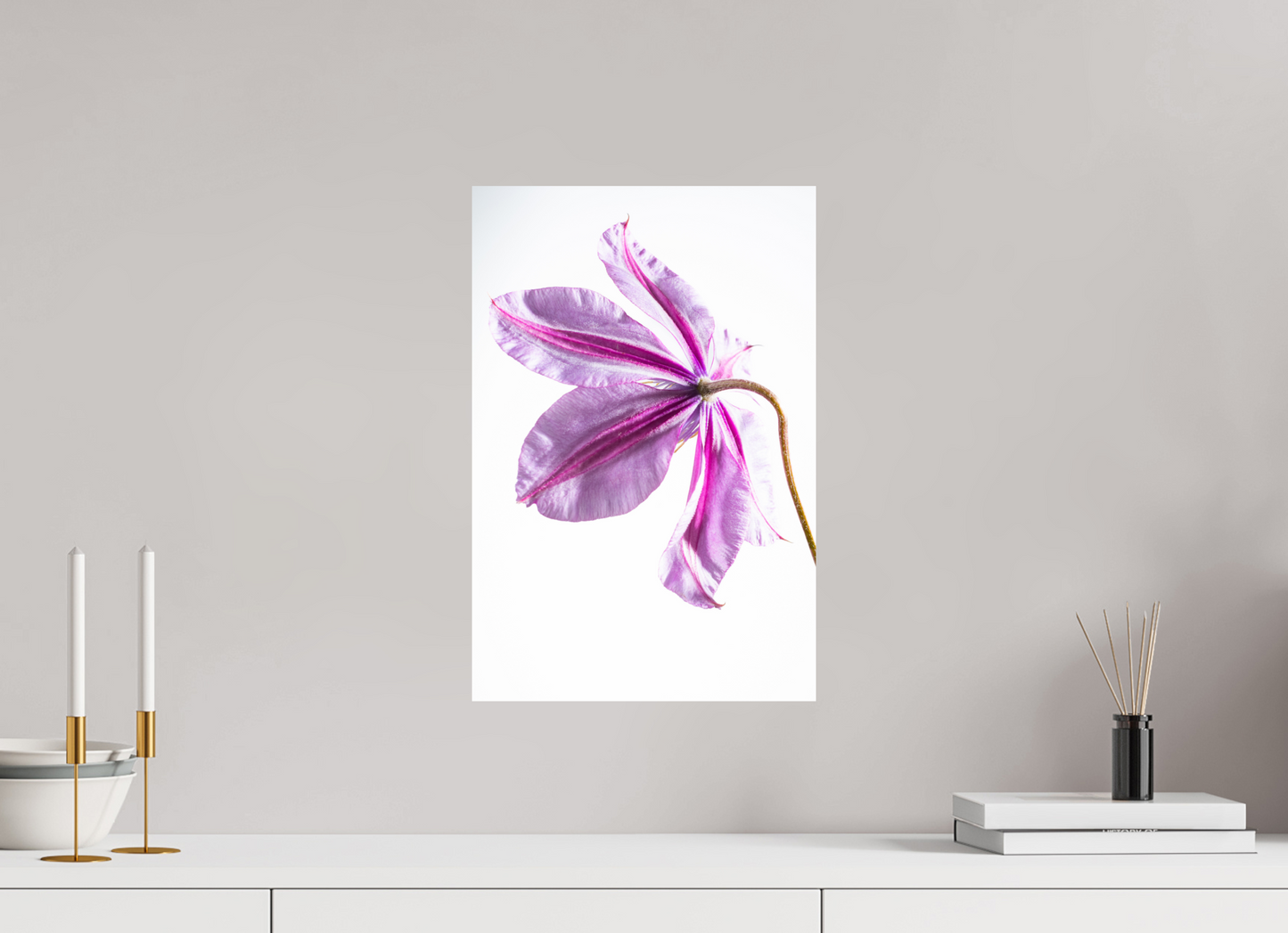 30 x 45 cm, Fine Art Print Baryta auf Alu-Dibond Clematis-03