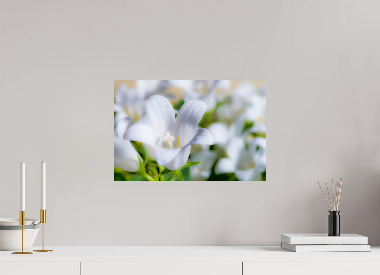 45 x 30 cm, ChromaLuxe HD Metal Print Glockenblume_02