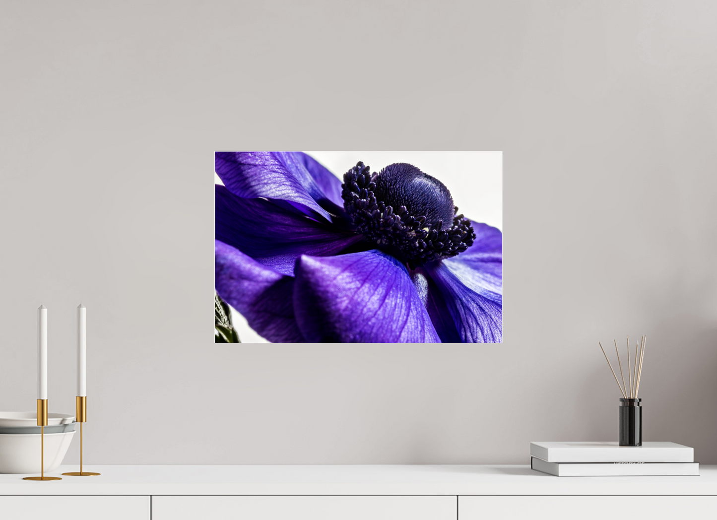 45 x 30 cm, Glänzender Foto-Abzug Acrylglas Kronenanemone_04