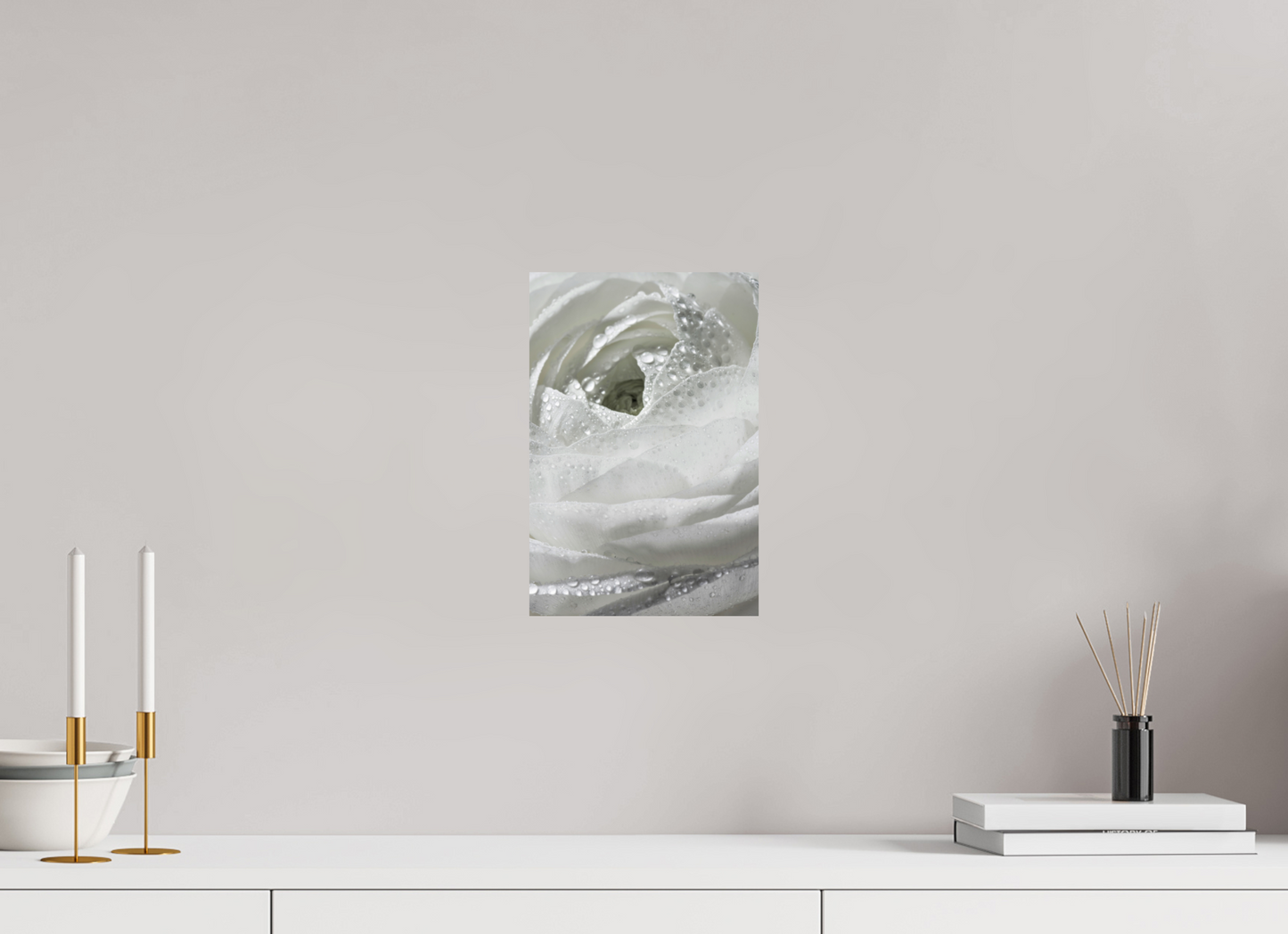 20 x 30 cm, Fine Art Print Baryta auf Alu-Dibond Rose_04