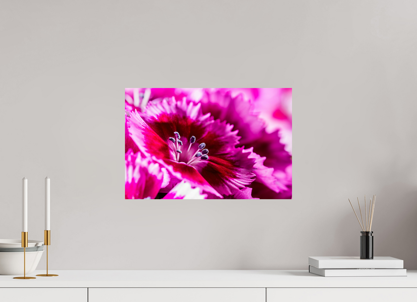 45 x 30 cm, Fine Art Print Baryta auf Alu-Dibond Bartnelke_04