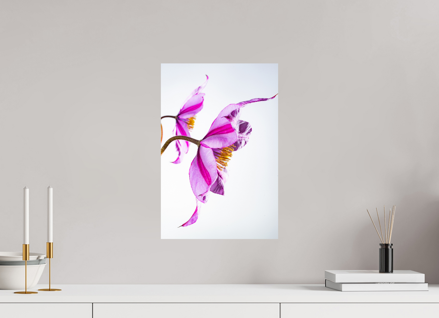 30 x 45 cm, Fine Art Print Baryta auf Alu-Dibond Clematis-06