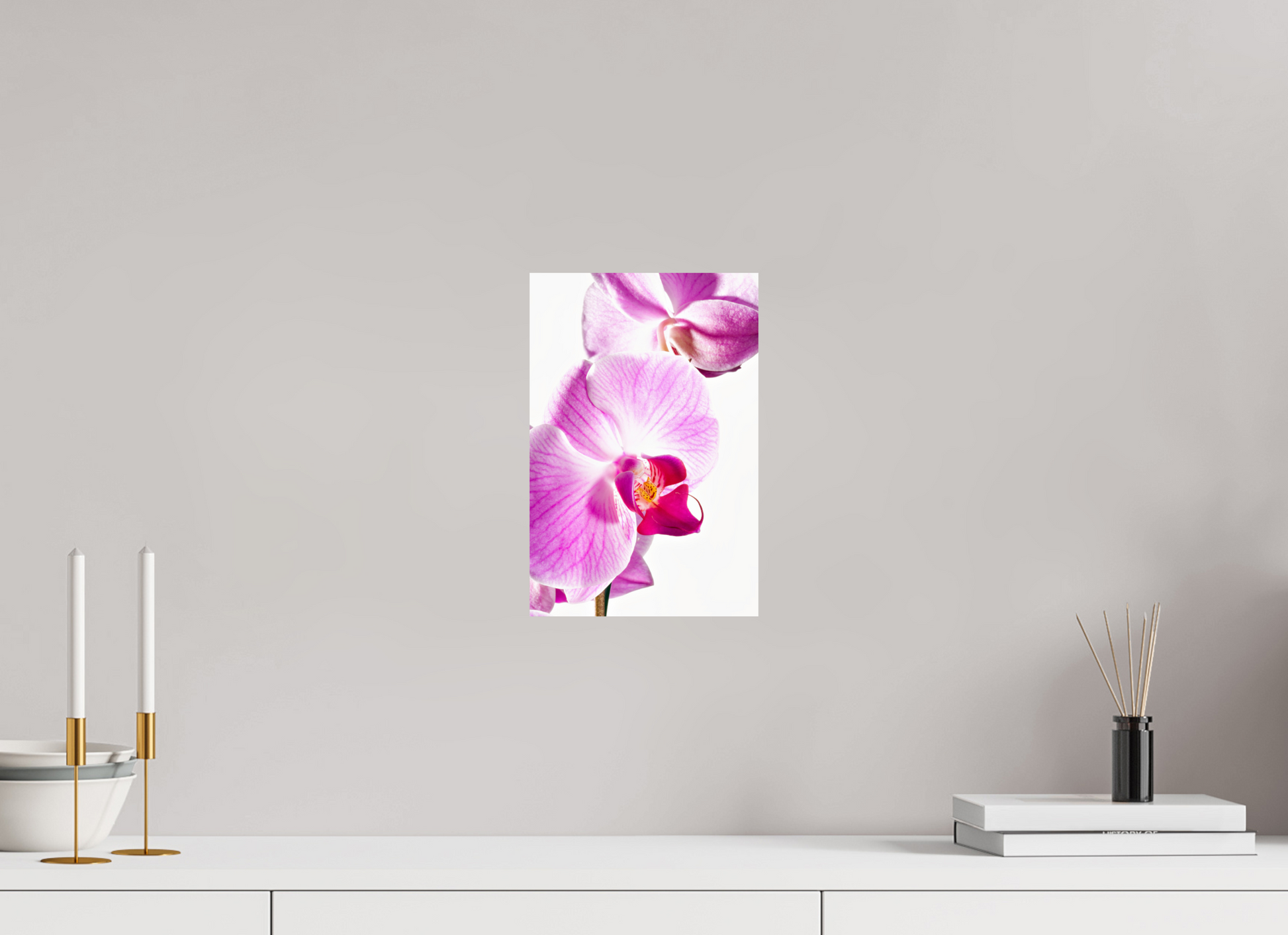 20 x 30 cm, ChromaLuxe HD Metal Print Phalaenopsis-01