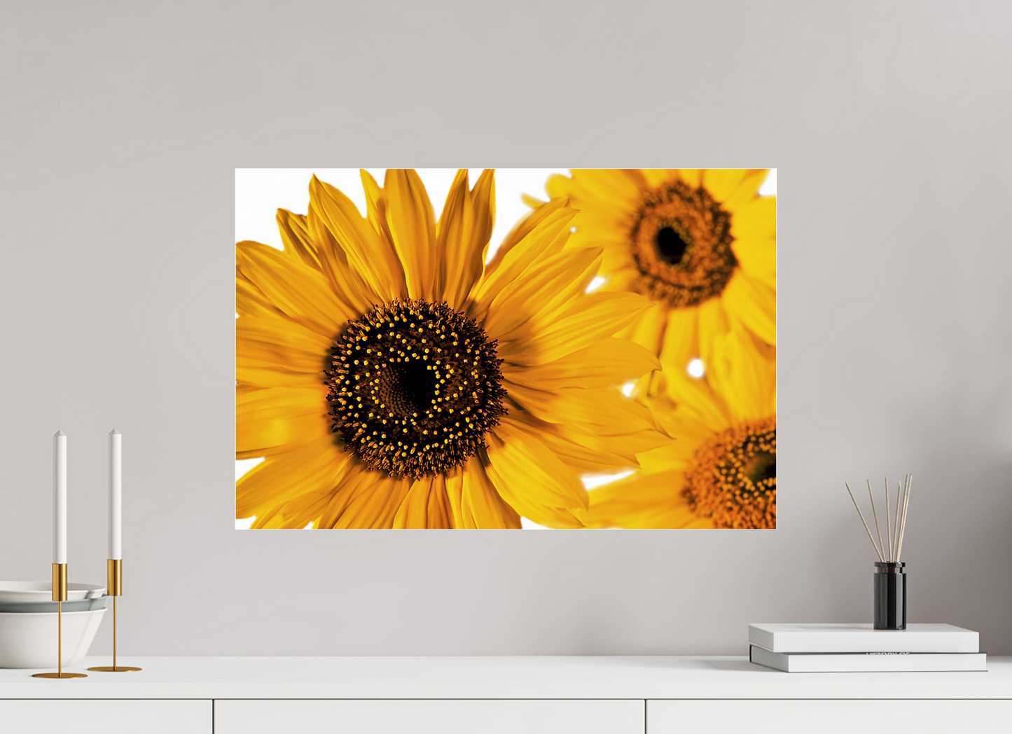 60 x 40 cm, Glänzender Foto-Abzug Acrylglas Sonnenblume