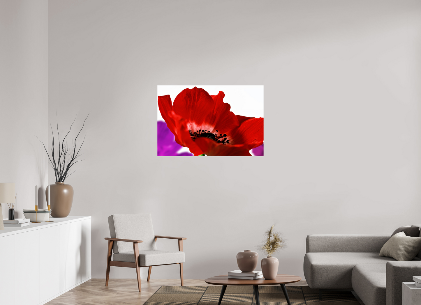 105 x 70 cm, Fine Art Print Baryta auf Alu-Dibond Kronenanemone_07