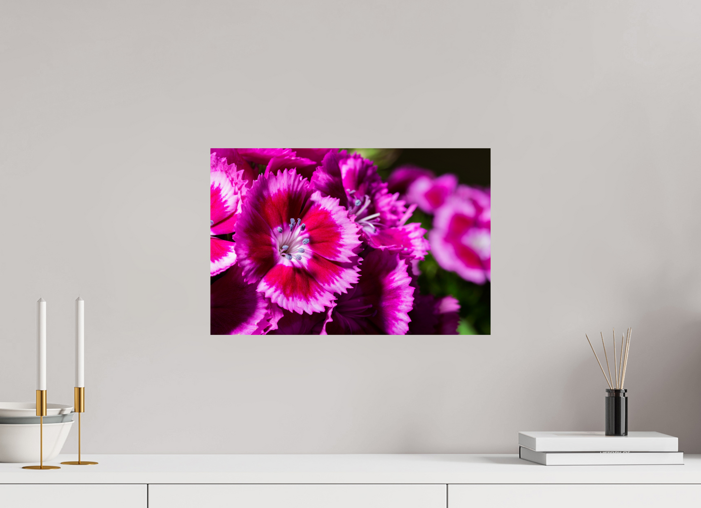 45 x 30 cm, ChromaLuxe HD Metal Print Bartnelke_01
