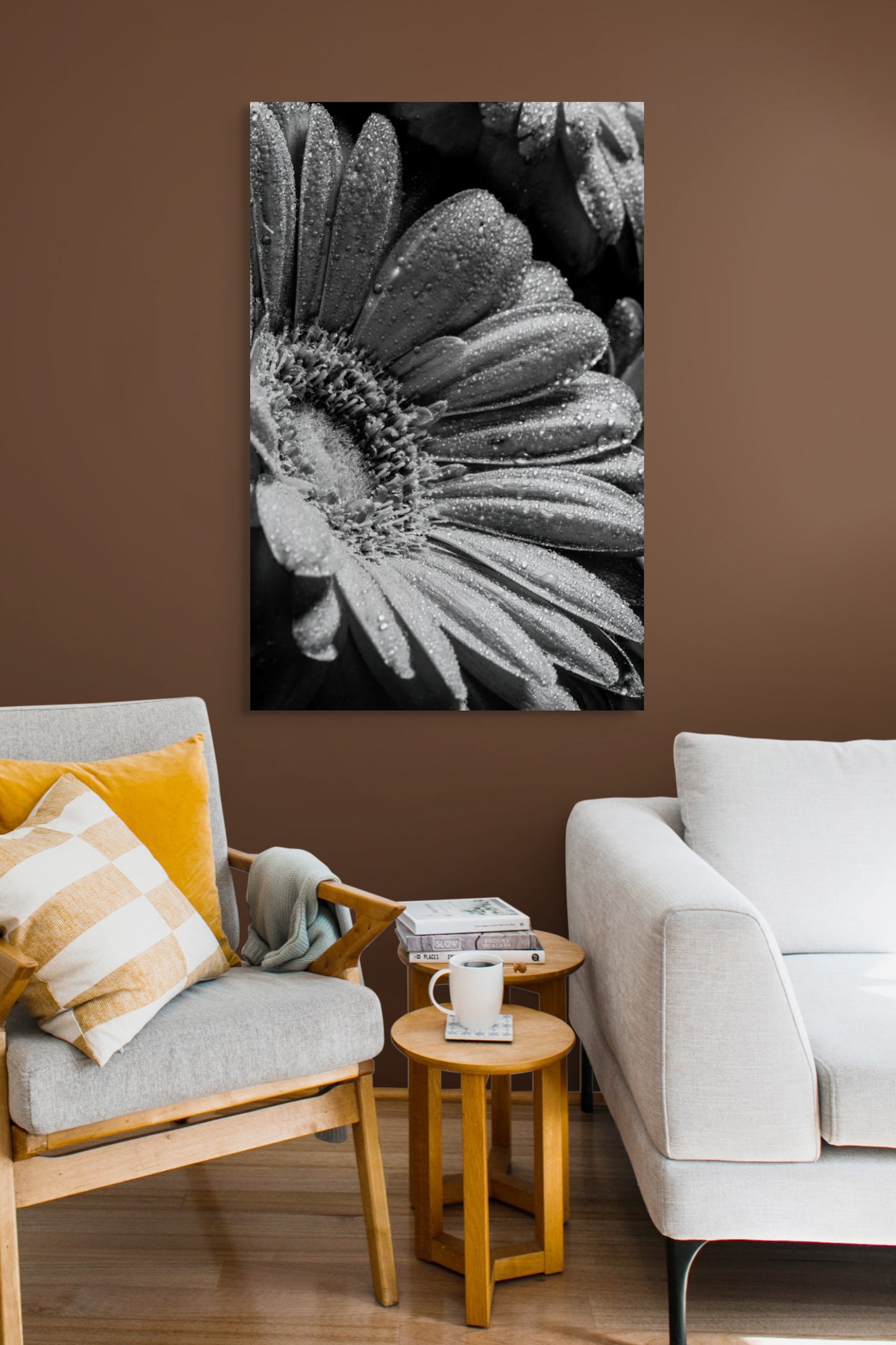 Gerbera_01