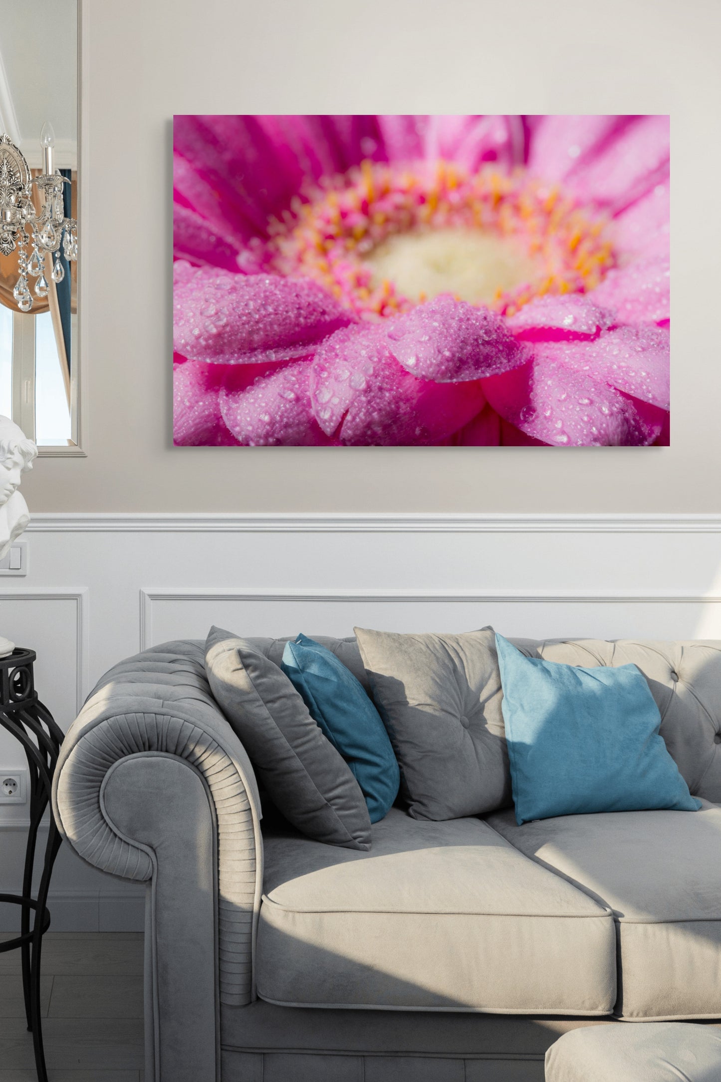 Gerbera_03