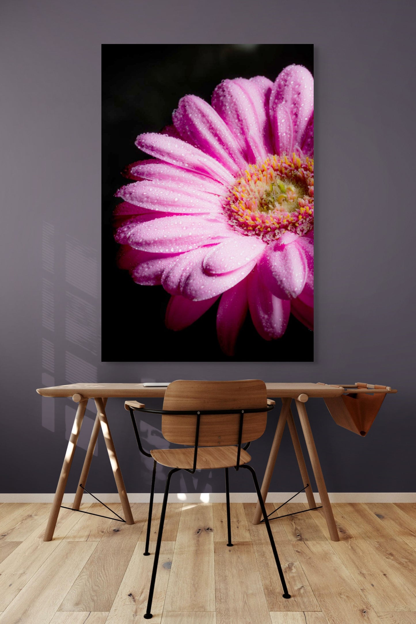Gerbera_05