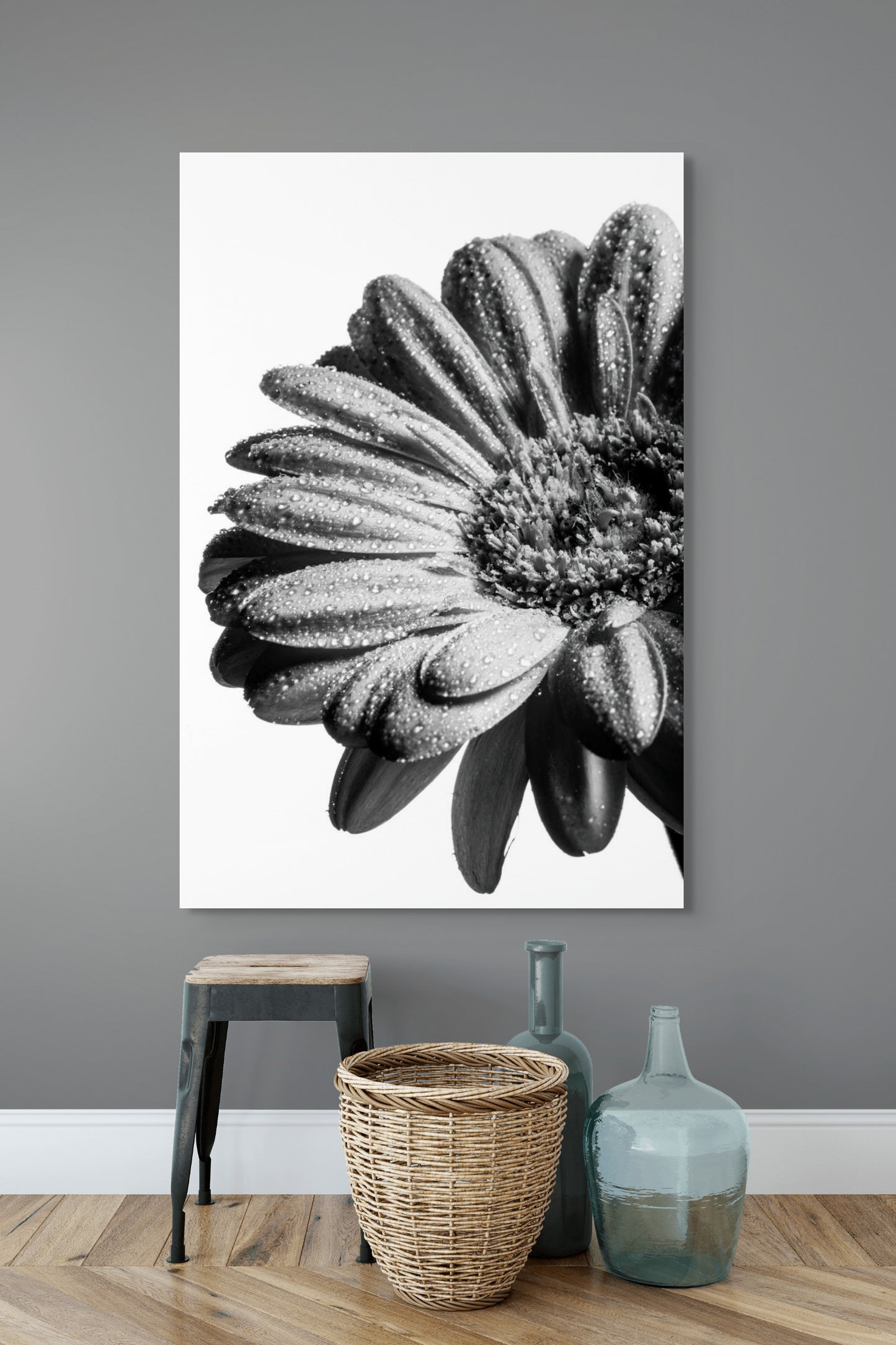 Gerbera_06
