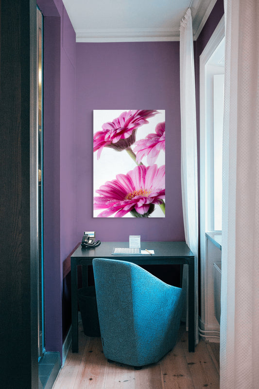 Gerbera_07