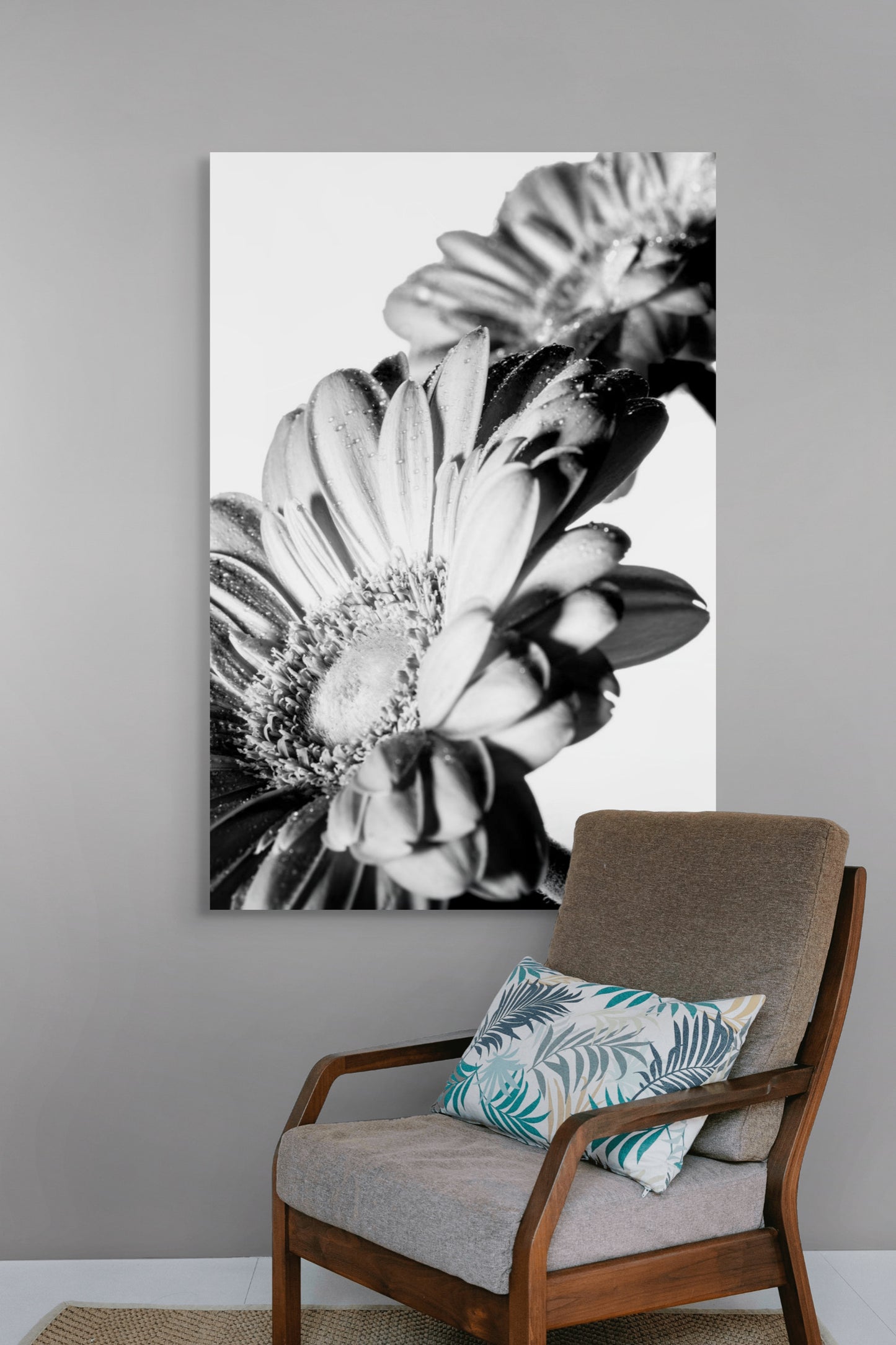 Gerbera_08