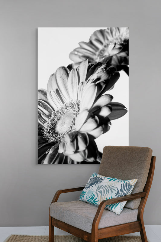 Gerbera_08