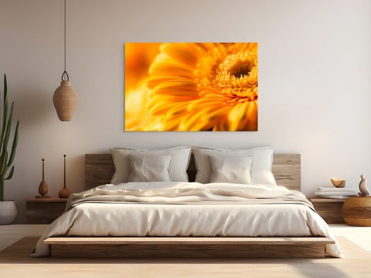 Gerbera_09