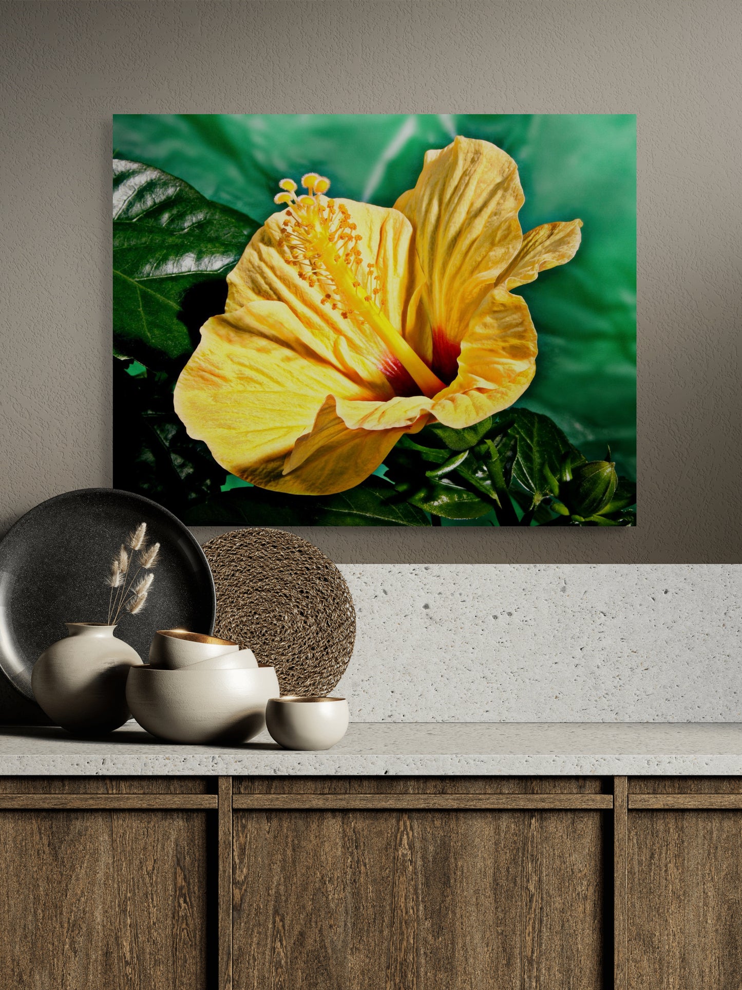 Hibiscus-02