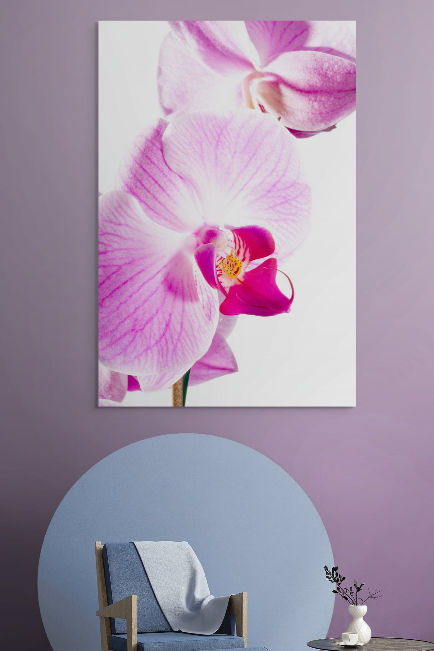 Phalaenopsis-01