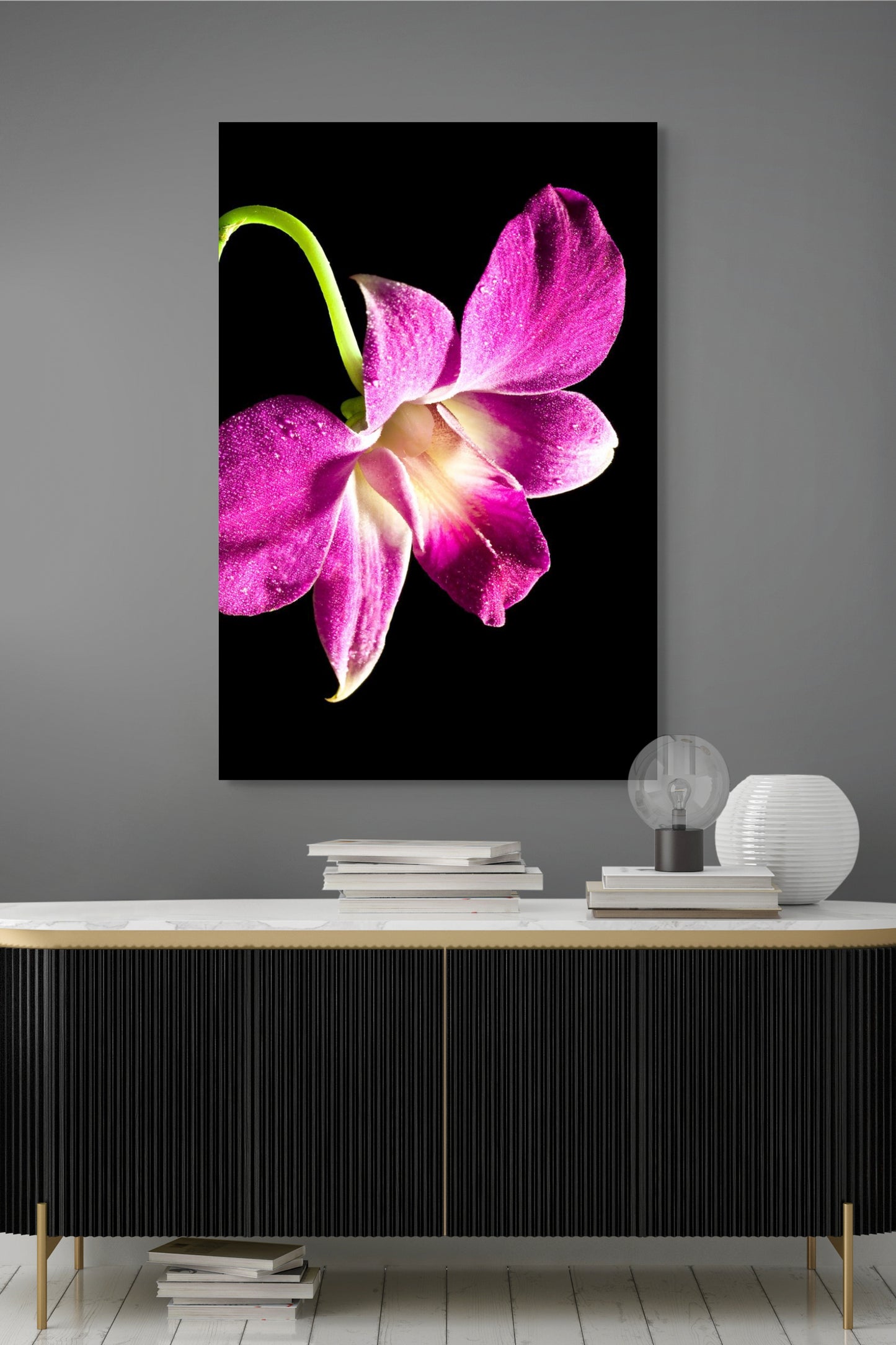 Phalaenopsis-2
