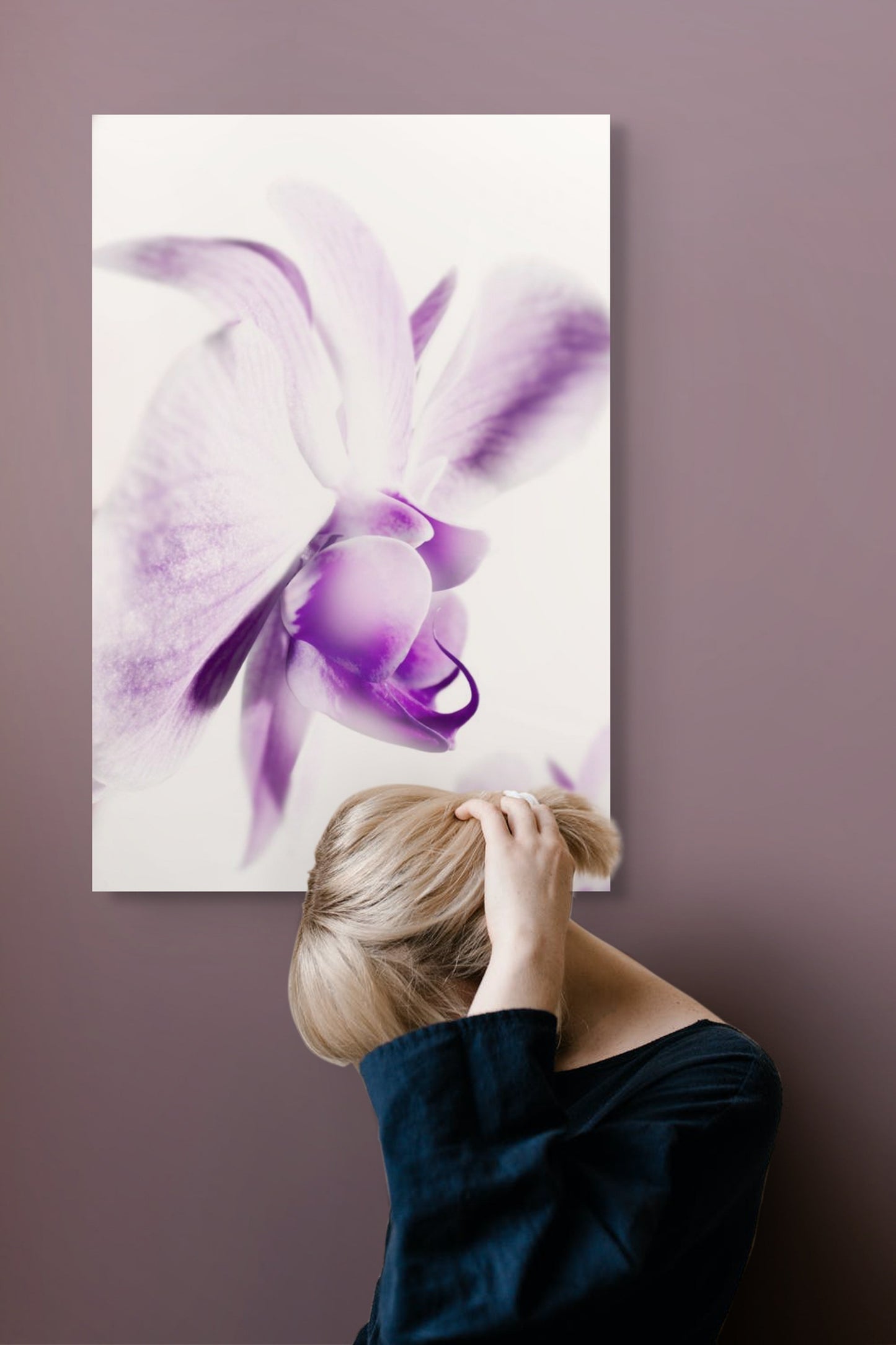 Phalaenopsis-03