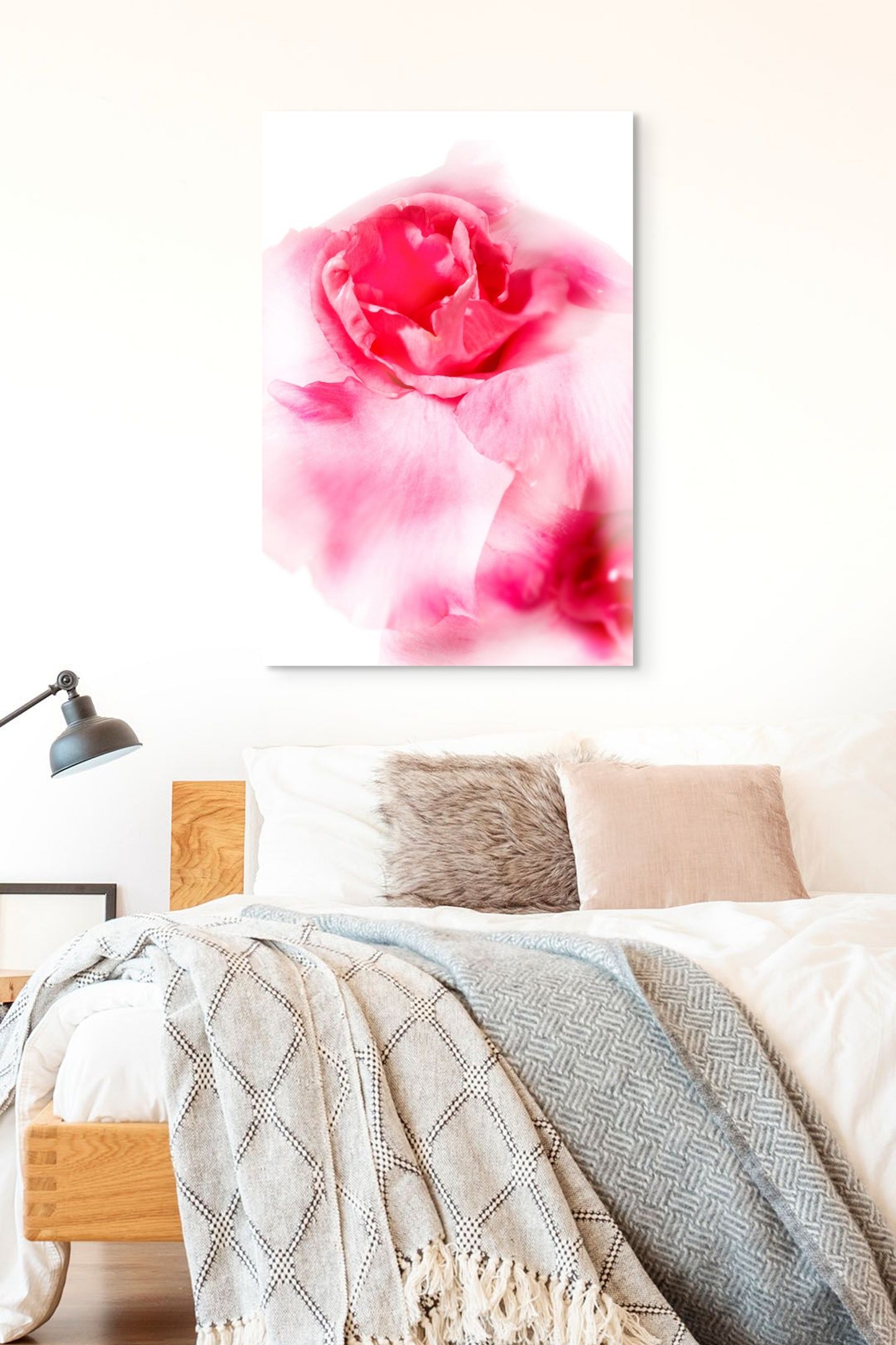Rose_01