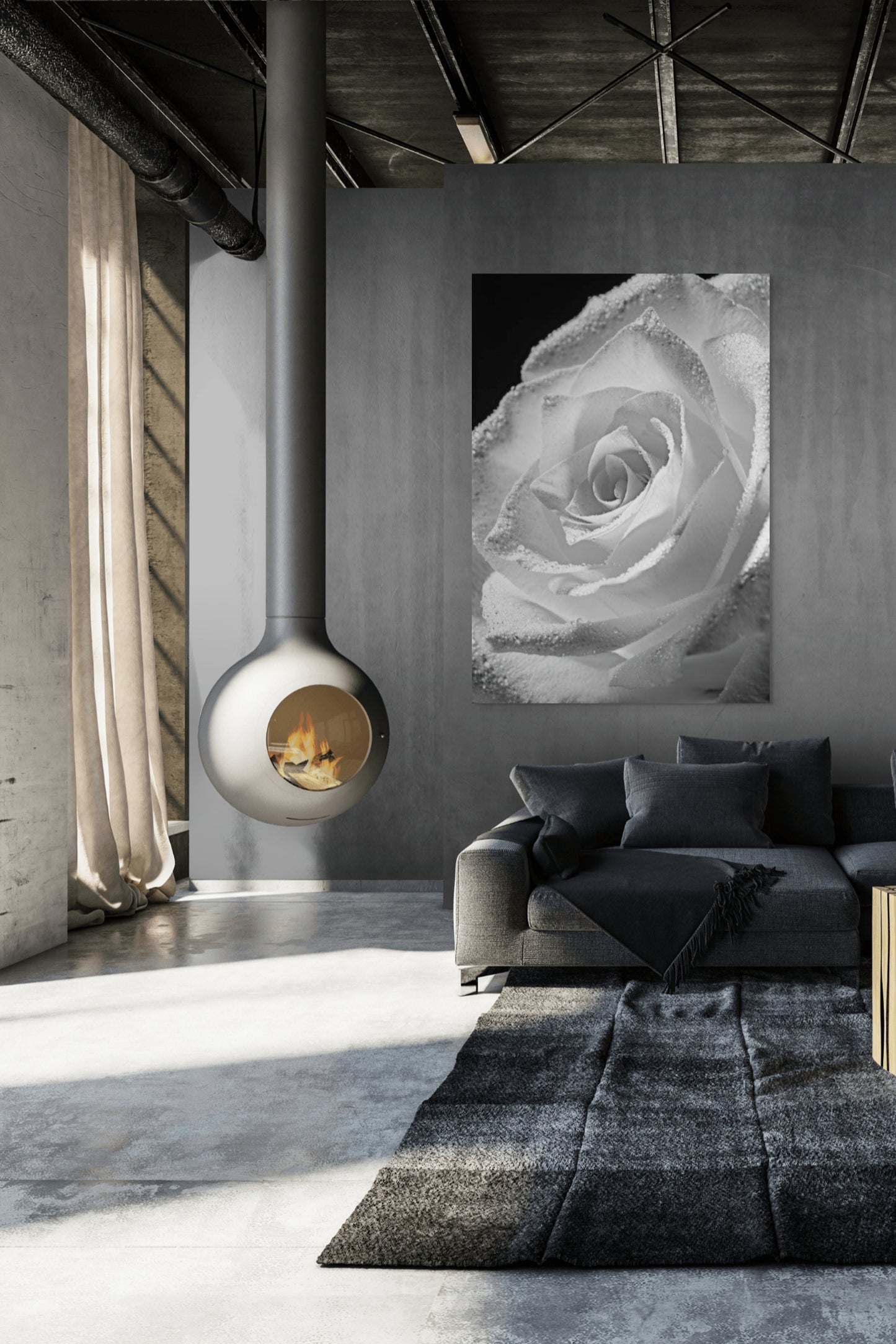Rose_06