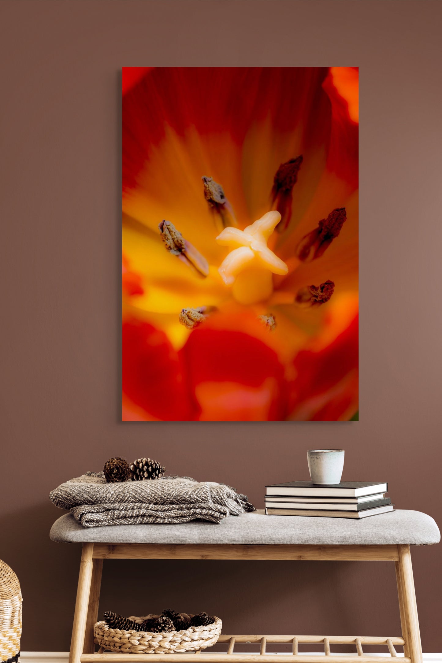 Tulpe-03