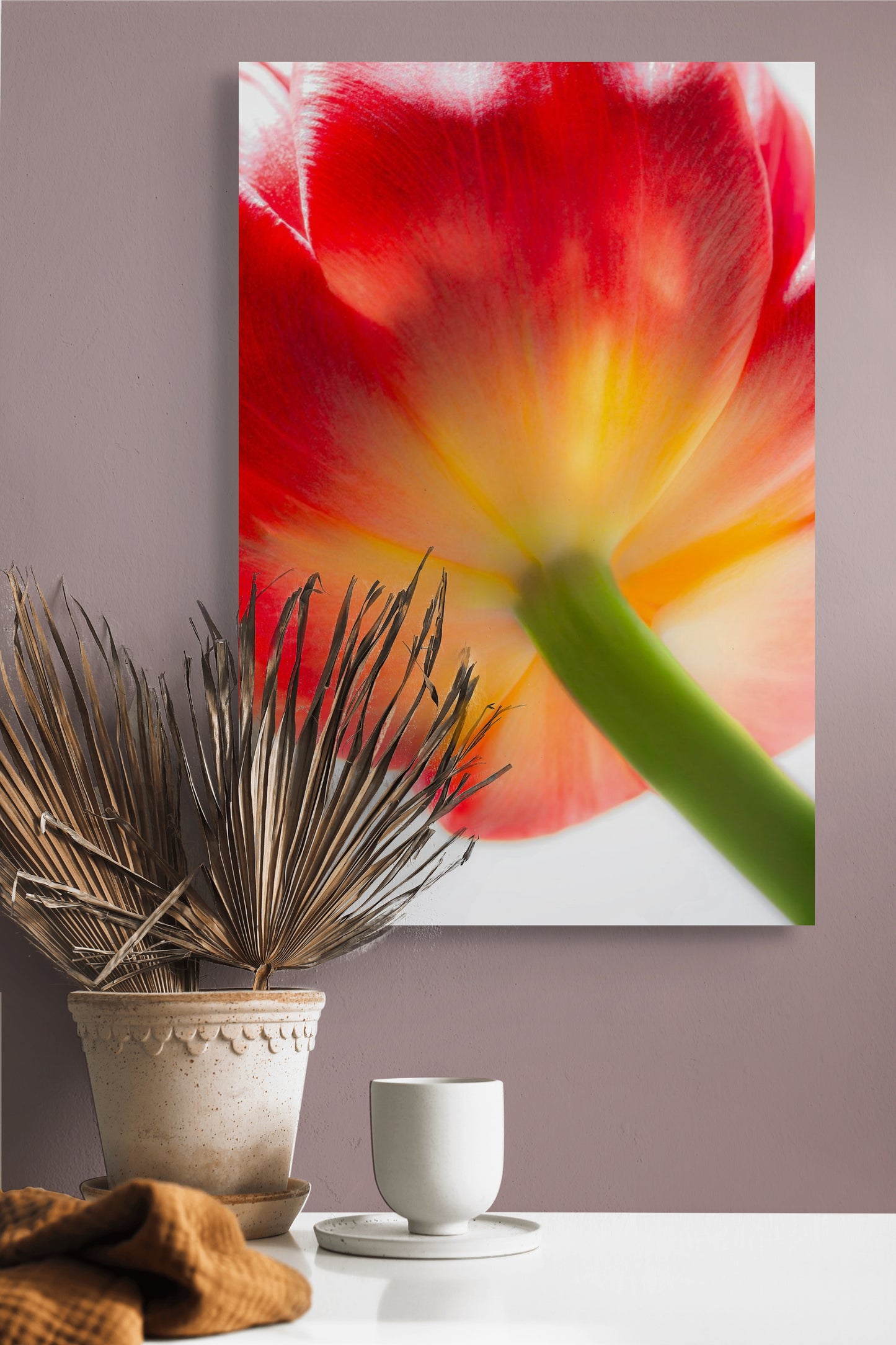 Tulpe-08